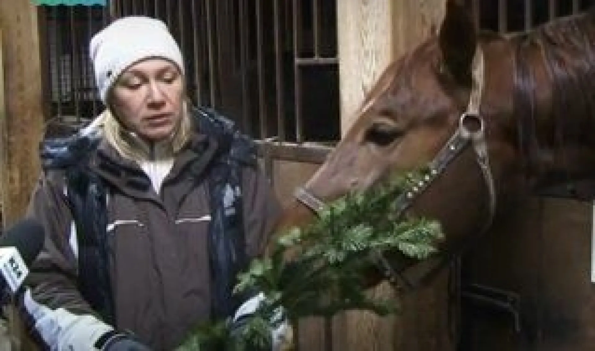 Телеканал «Катунь 24» совместно с общественным движением «Мусора.Больше.Нет, Барнаул» организовал сбор хвойных деревьев в рамках акции «Ёлки, Палки, Пять Бизонов» Телеканал «Катунь 24» совместно с общественным движением «Мусора.Больше.Нет, Барнаул» организовал сбор хвойных деревьев в рамках акции «Ёлки, Палки, Пять Бизонов»