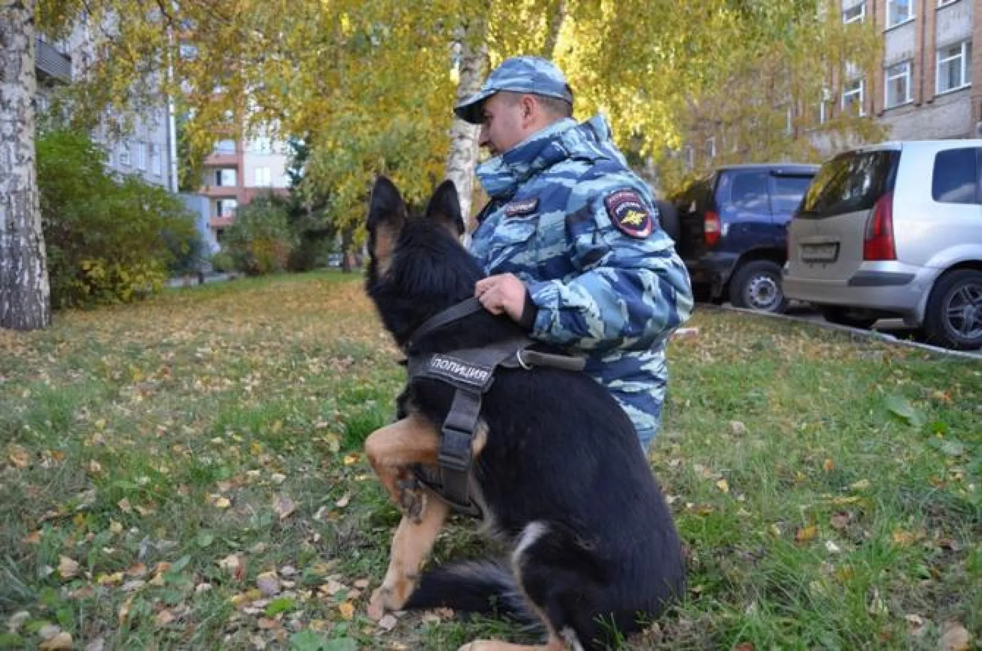 Служебная собака помогла барнаульским полицейским раскрыть кражу Служебная собака помогла барнаульским полицейским раскрыть кражу