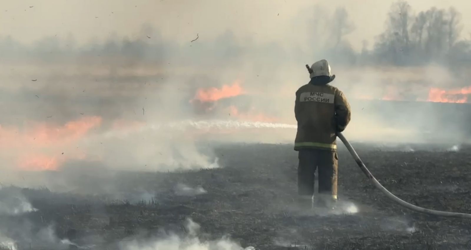 Отработку тушения ландшафтных пожаров проведут по всему Алтайскому краю