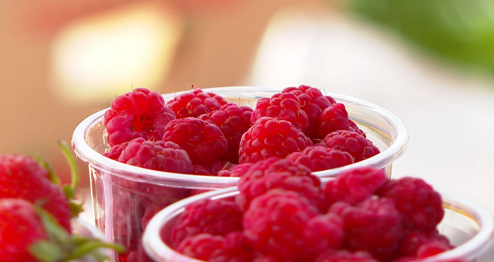 Жителей Барнаула приглашают на сбор малины