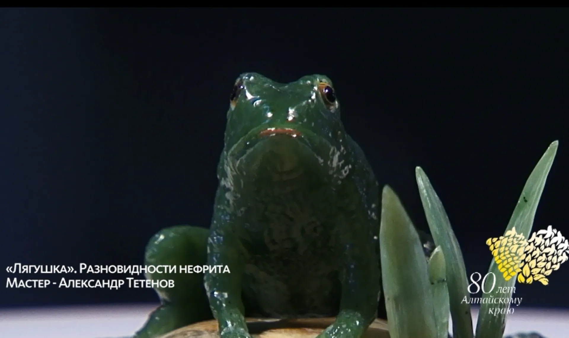 «Музейная редкость» - лягушка