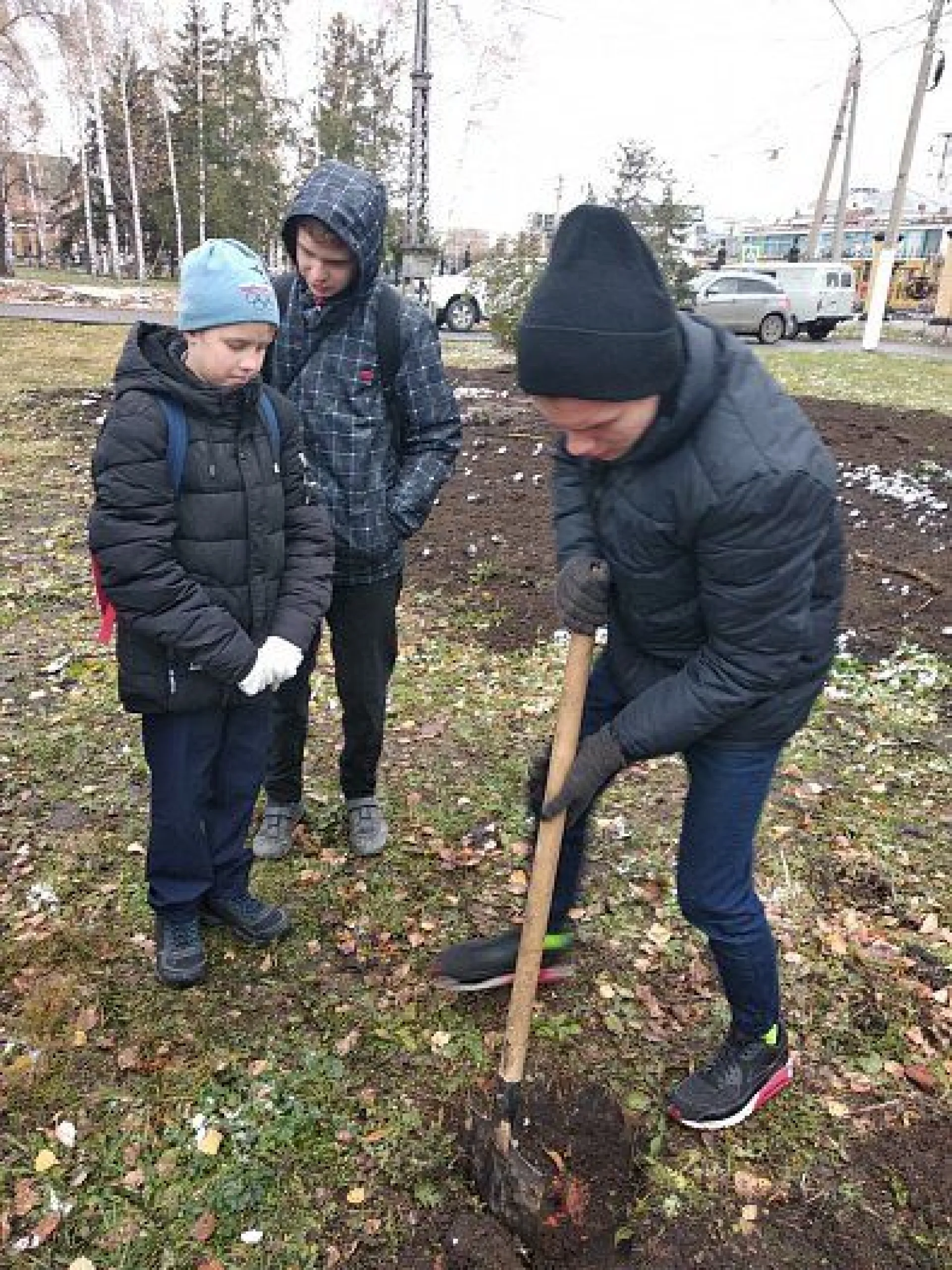 Новую аллею высадили в Центральном парке Барнаула