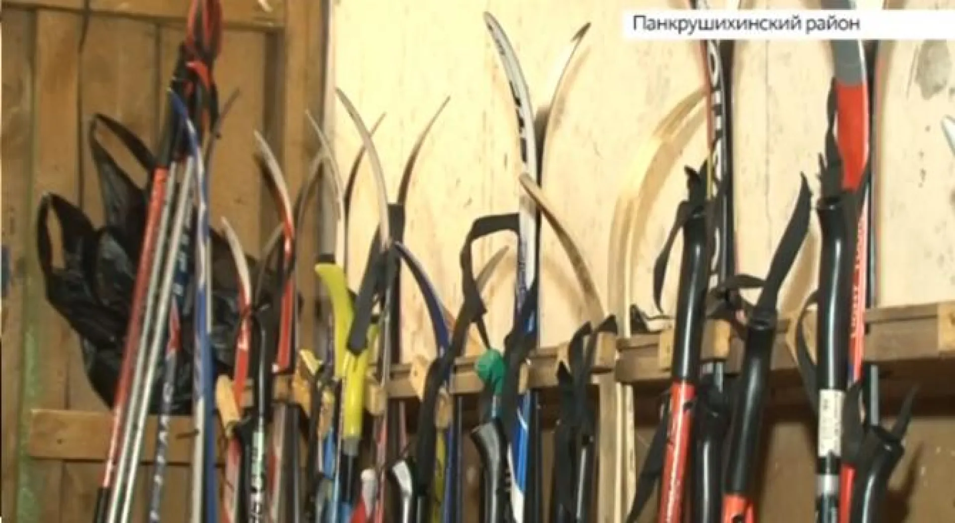 Новый спортивный инвентарь получили ученики сельской школы в Алтайском крае Новый спортивный инвентарь получили ученики сельской школы в Алтайском крае