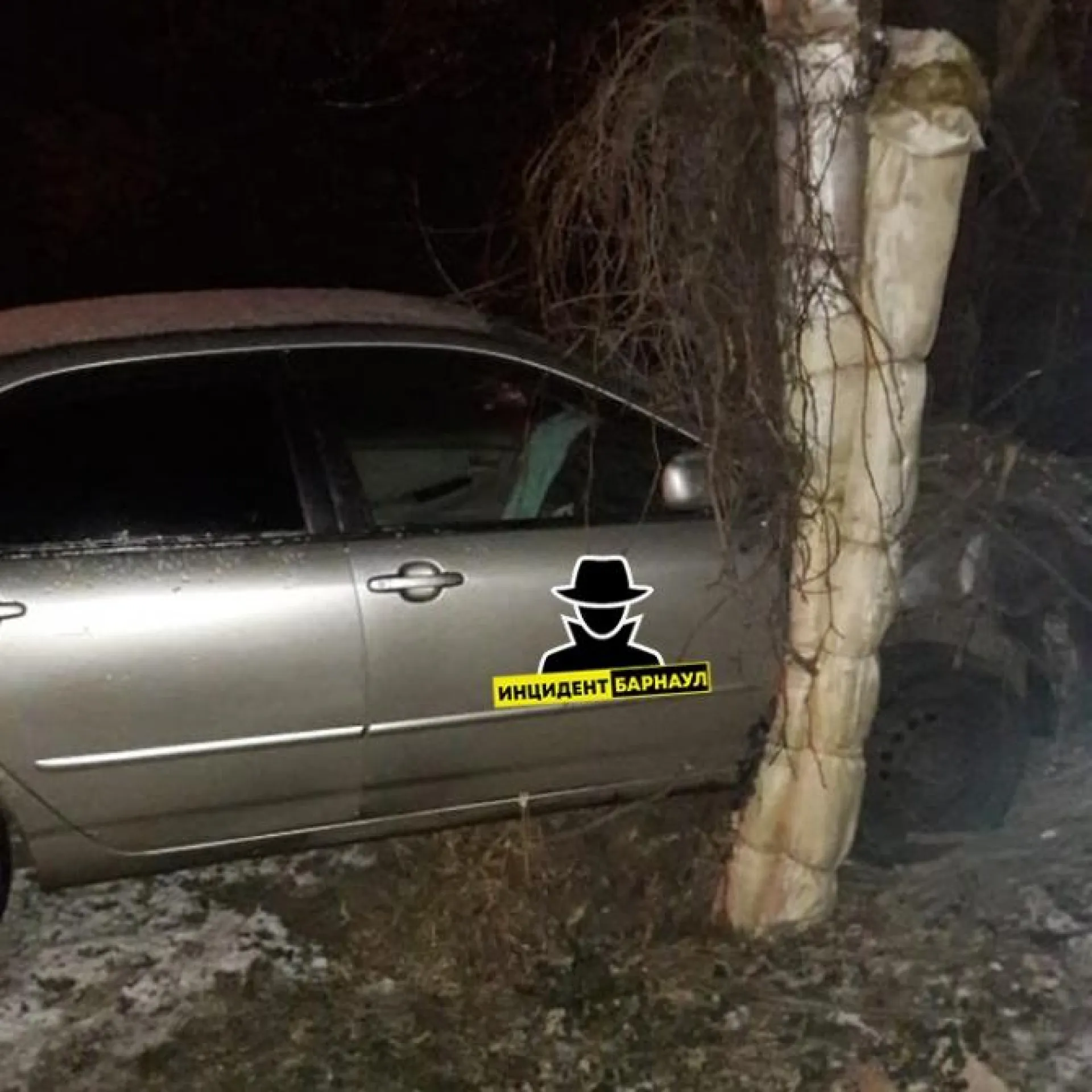Барнаульский водитель врезался в дерево и уснул 