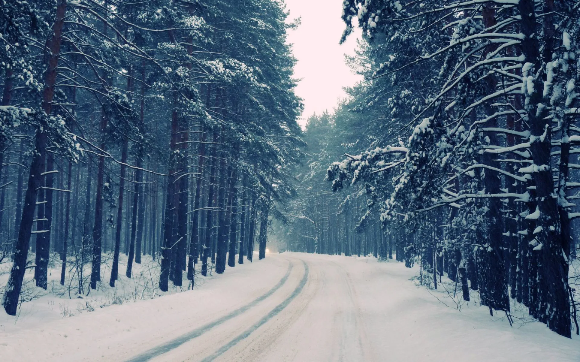 Митрофанов день: традиции и приметы на 6 декабря Митрофанов день: традиции и приметы на 6 декабря