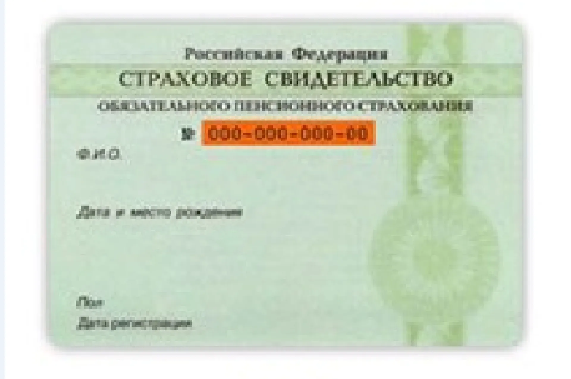 СНИЛС планируют заменить новым документом в России