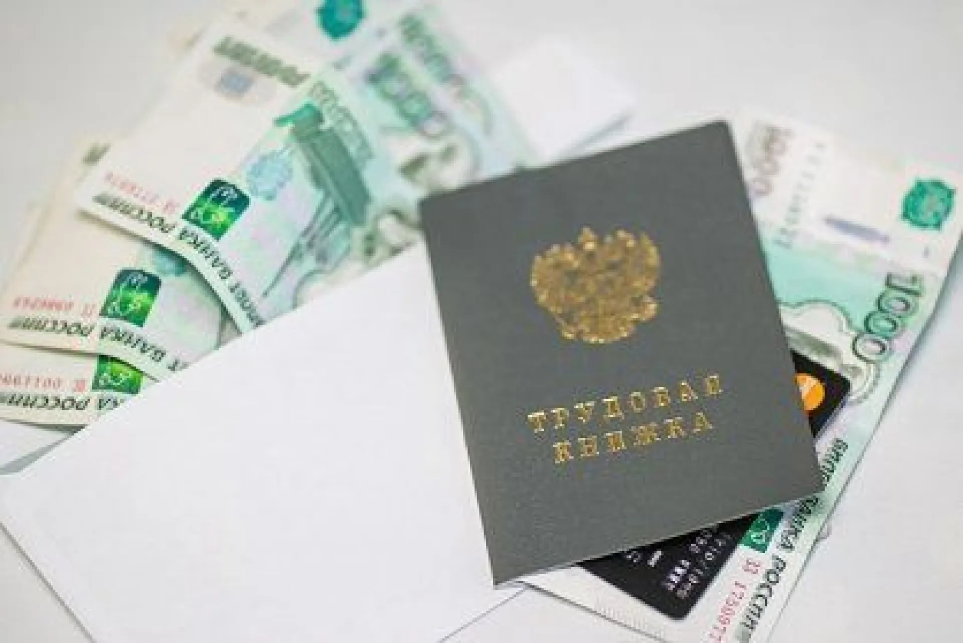 Директора предприятия осудят за присвоение зарплаты сотрудника в Алтайском крае