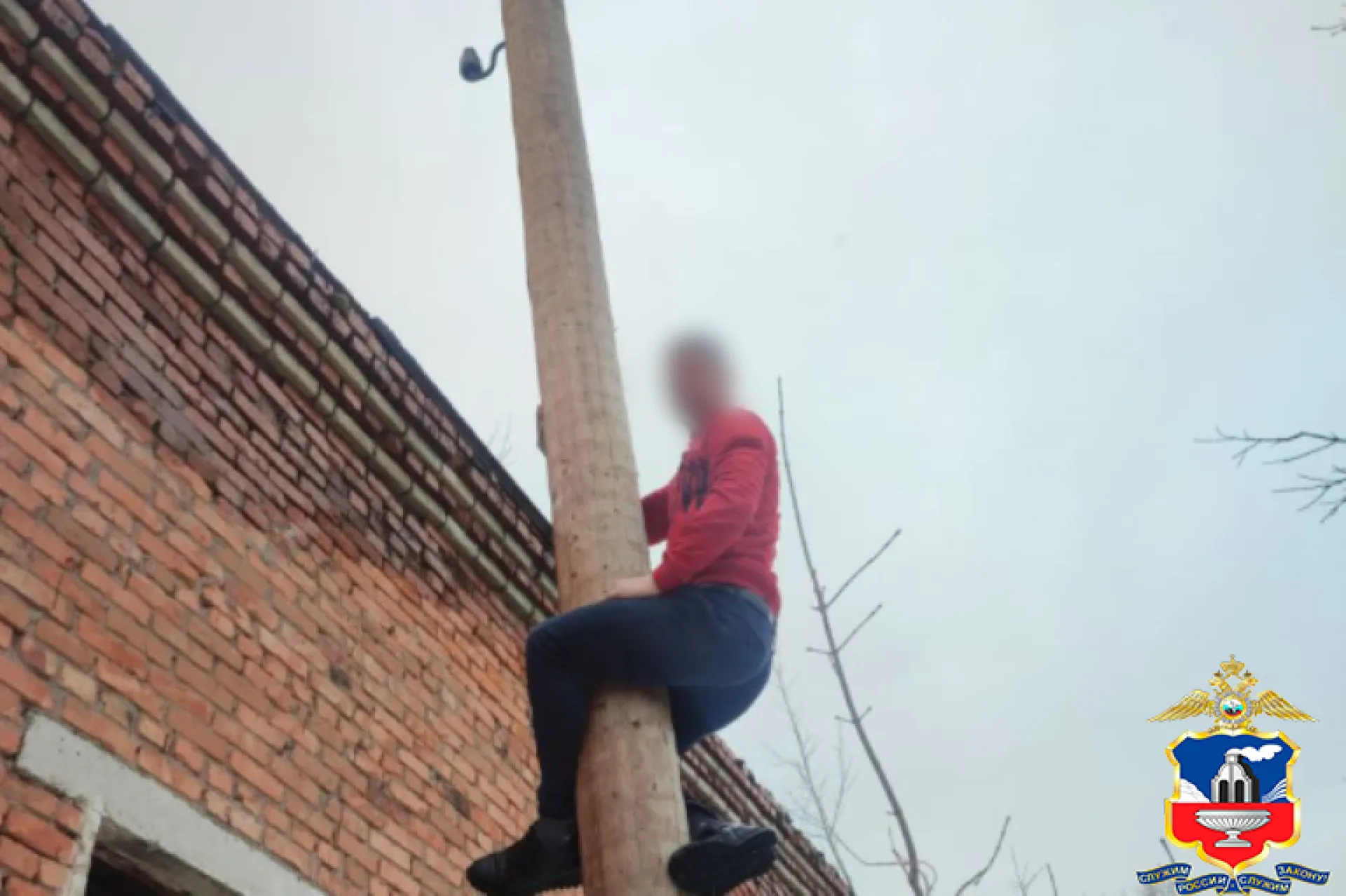 Мужчина срезал более 1,6 километра кабеля, обесточив поселок в Алтайском крае 