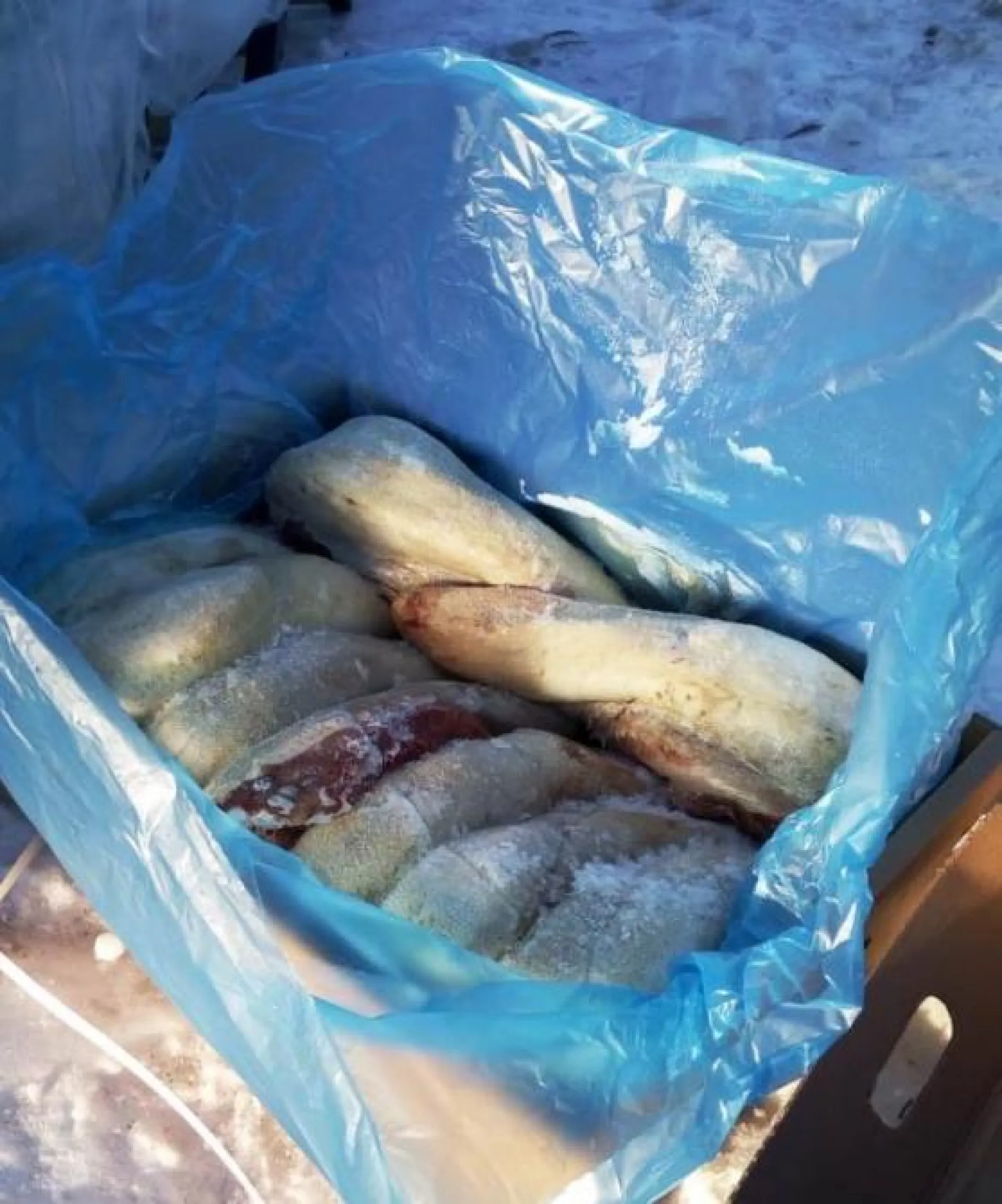 Партию санкционного языка уничтожили в Алтайском крае