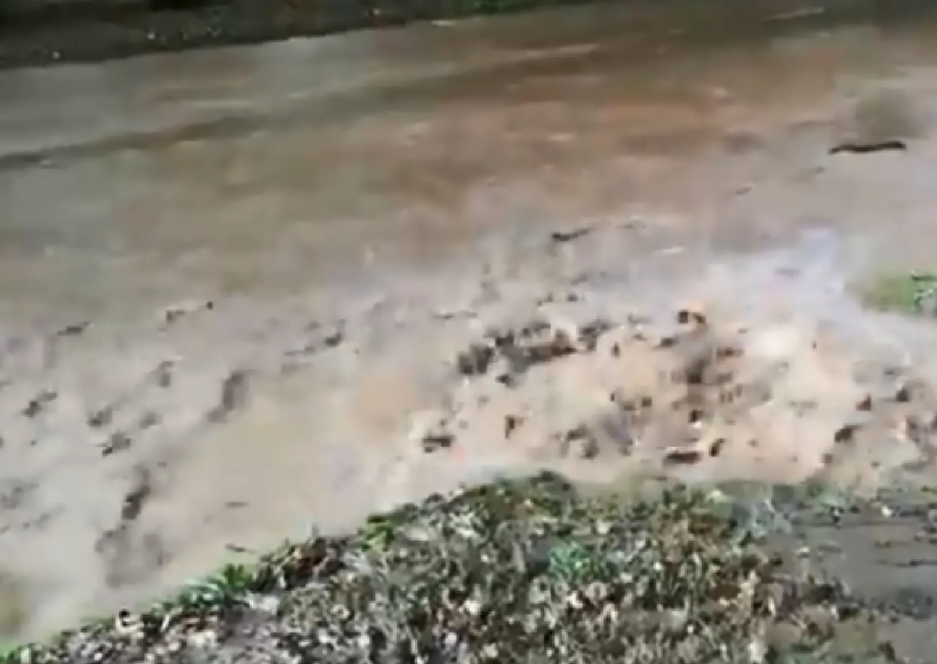 Стали известны подробности прорыва трубы в Барнауле