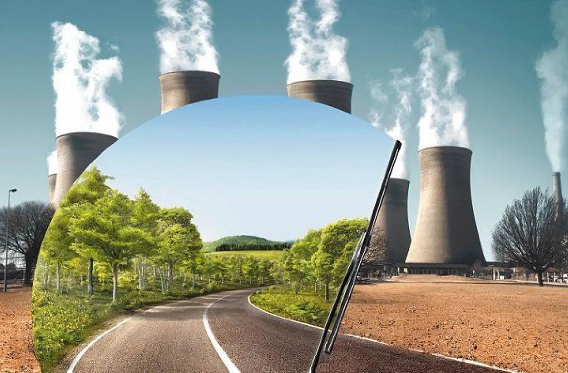 Роспотребнадзор предложил запретить уничтожать продукты, пригодные для употребления