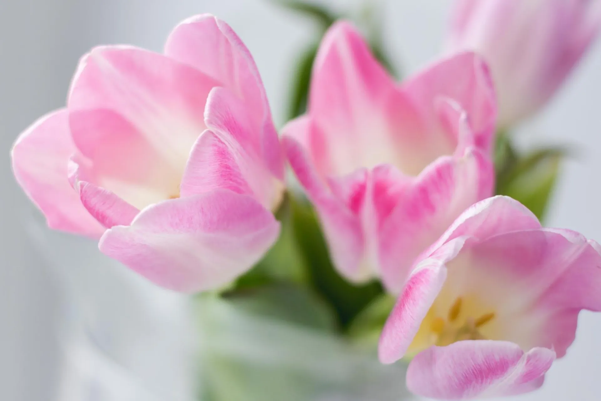 До + 25: о погоде в Алтайском крае 28 мая