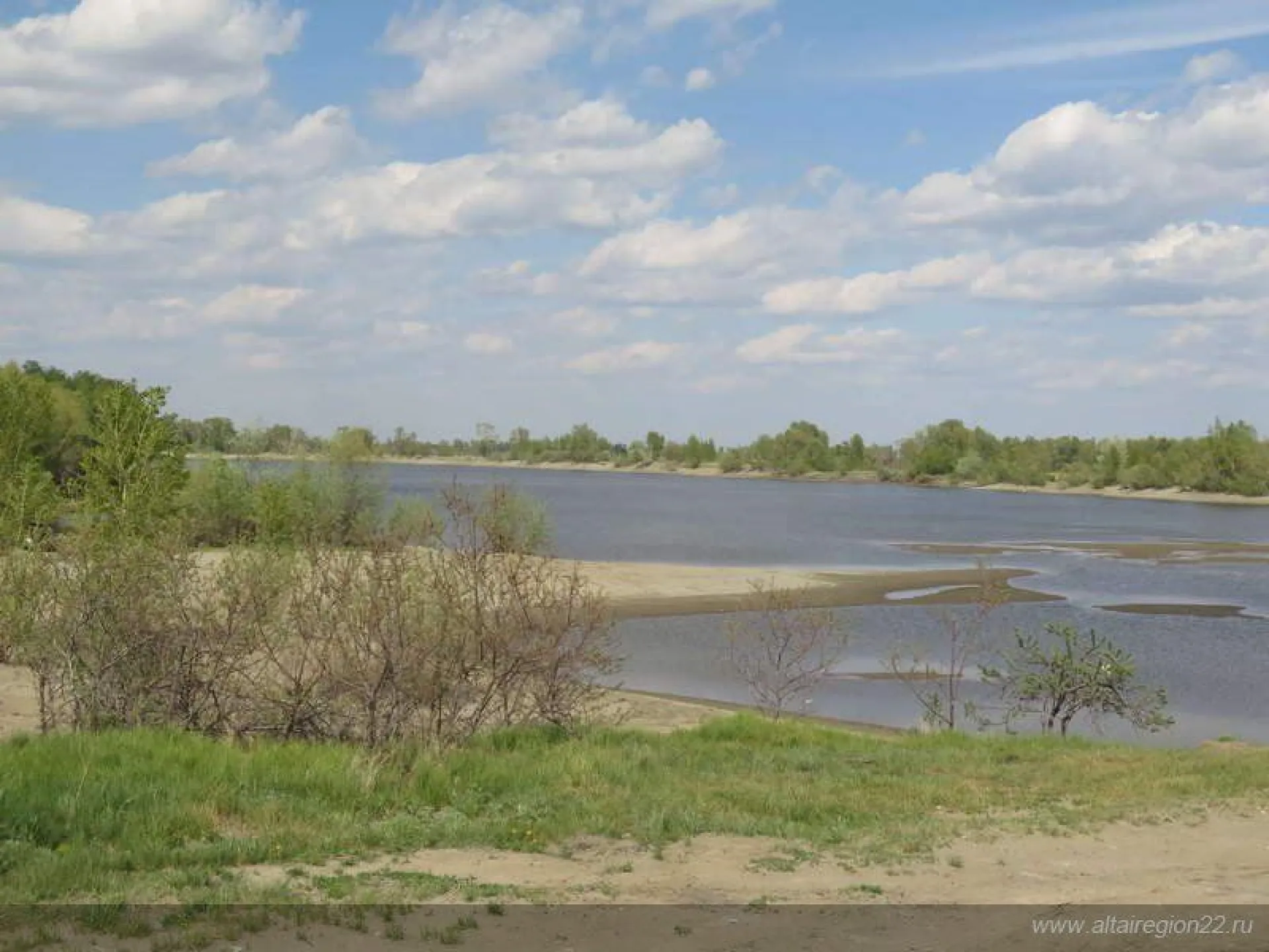 Более 120 жителей Барнаула стали участниками акции «Чистая Обь»