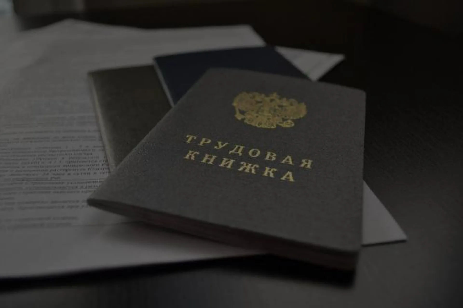 Стало известно, когда будут отменены бумажные трудовые книжки Стало известно, когда будут отменены бумажные трудовые книжки