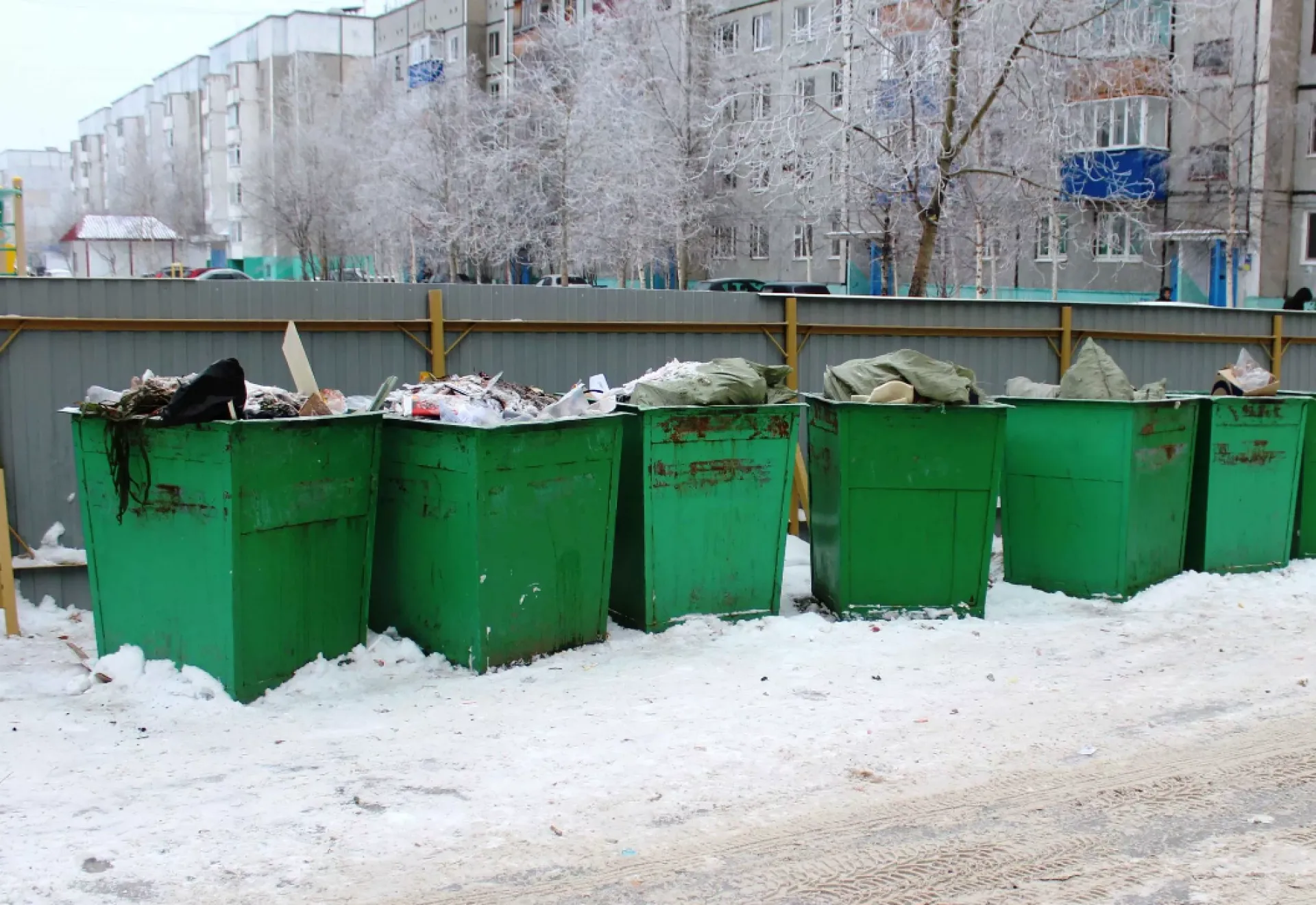 Положил не то: барнаульца оштрафовали за то, что выбросил мусор в контейнер Положил не то: барнаульца оштрафовали за то, что выбросил мусор в контейнер