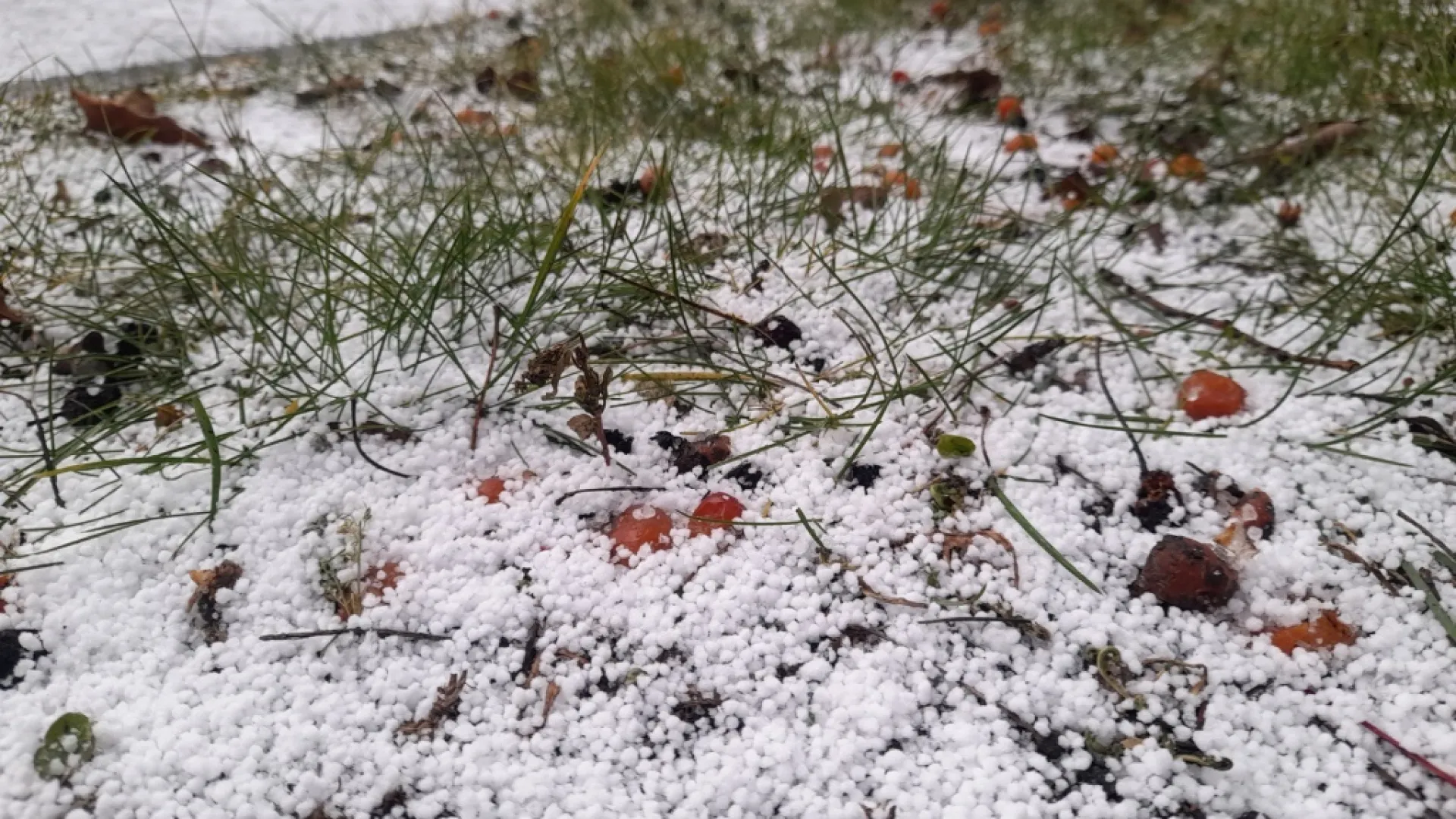 Снег, дождь, крупа: непогода разбушевалась в Барнауле. Видео Снег, дождь, крупа: непогода разбушевалась в Барнауле. Видео