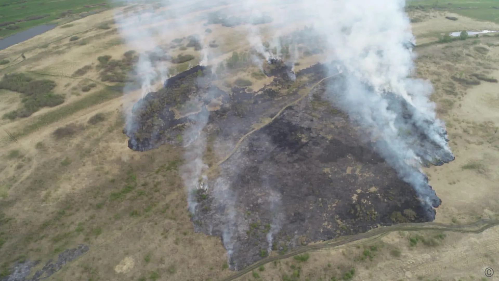 Крупный ландшафтный пожар тушат в районе барнаульского посёлка Сибирская Долина Крупный ландшафтный пожар тушат в районе барнаульского посёлка Сибирская Долина