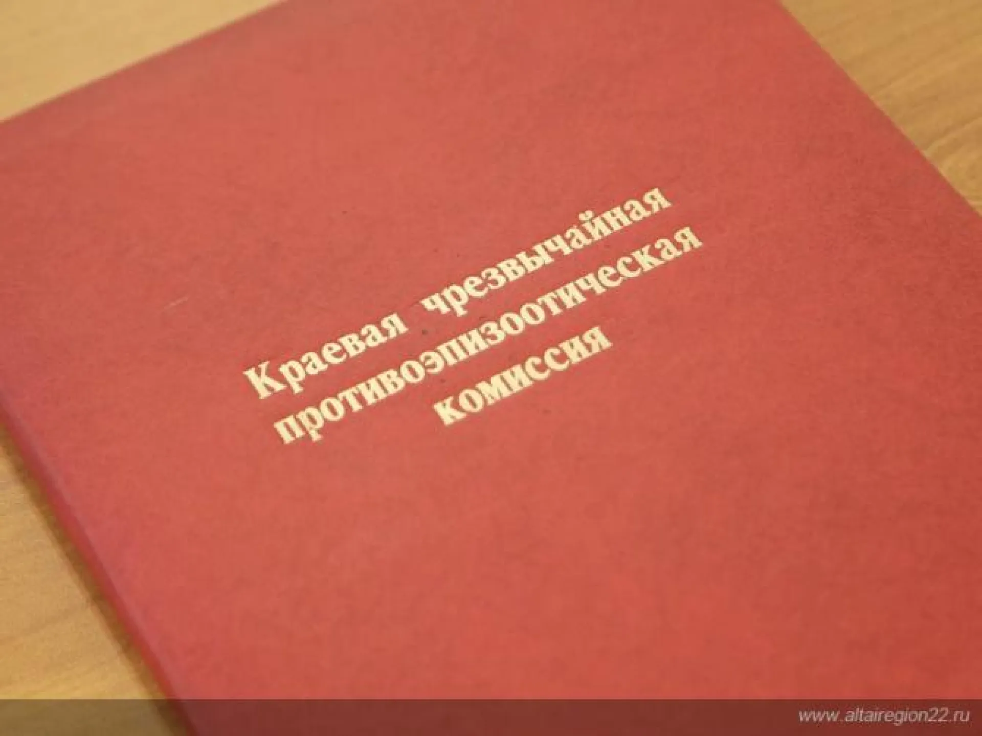 Вопросы профилактики гриппа птиц обсудили в правительстве Алтайского края