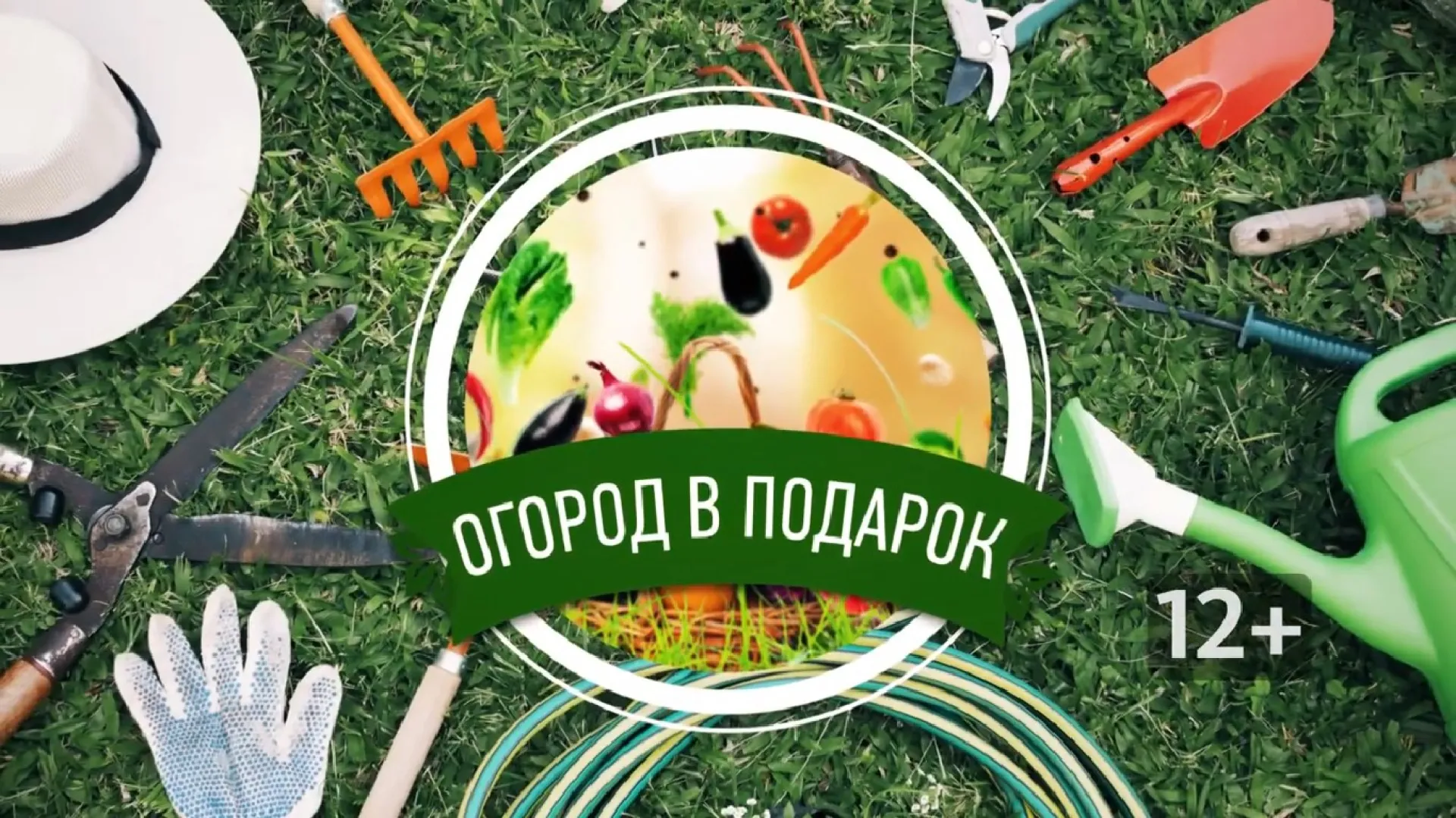 «Огород в подарок»: чему мы научились в 2022 году