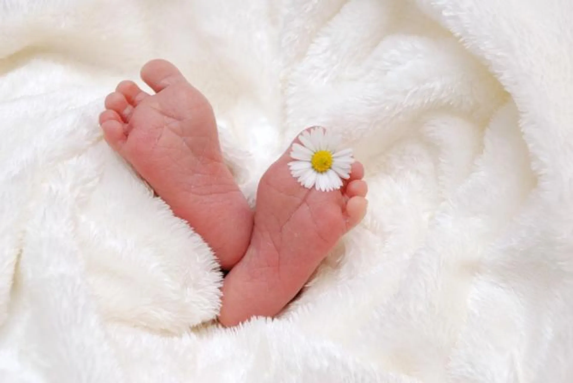 Школа будущих родителей появится в Барнауле
