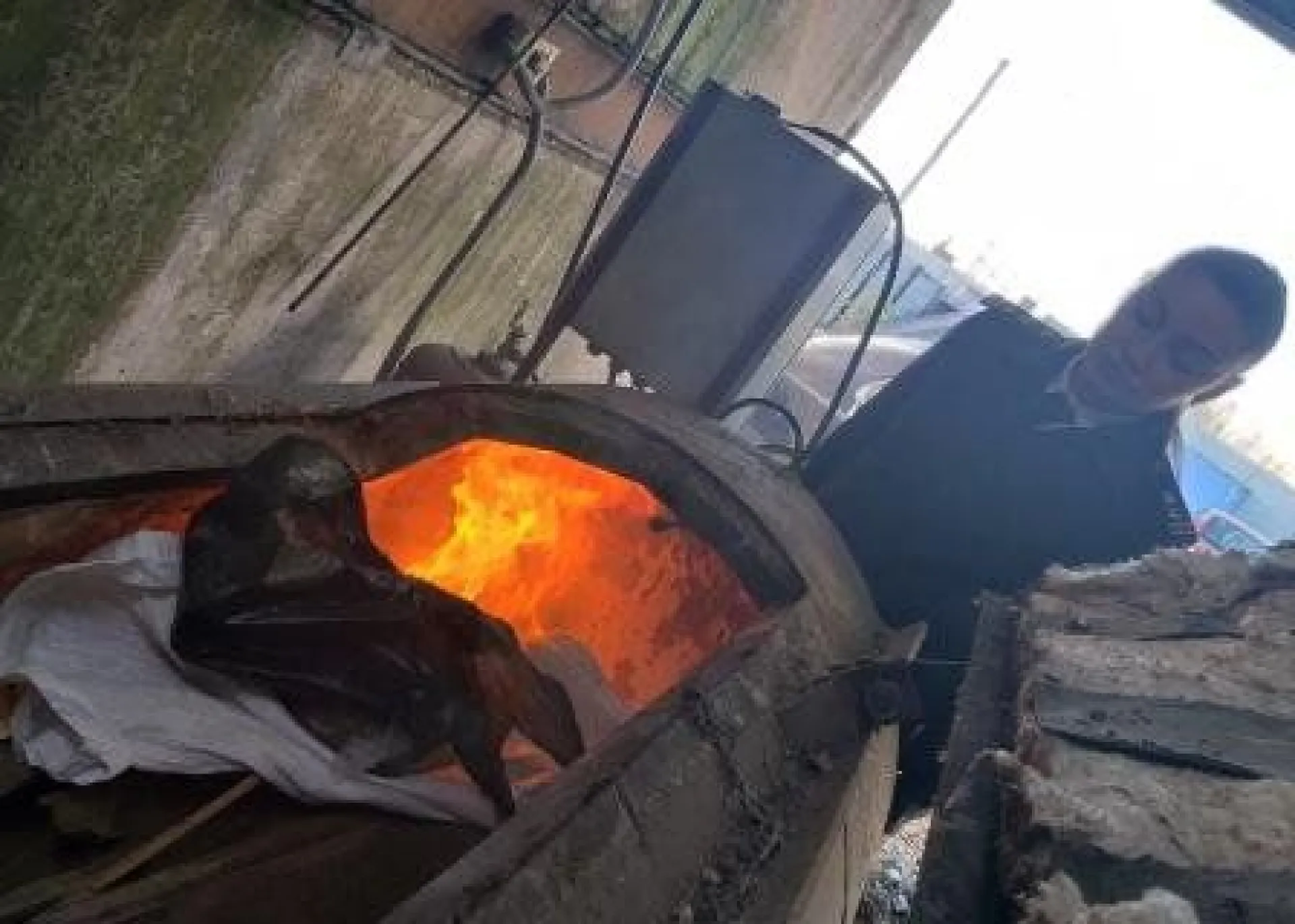 Россельхознадзор сжег партию опасных семян итальянской петрушки в Алтайском крае Россельхознадзор сжег партию опасных семян итальянской петрушки в Алтайском крае