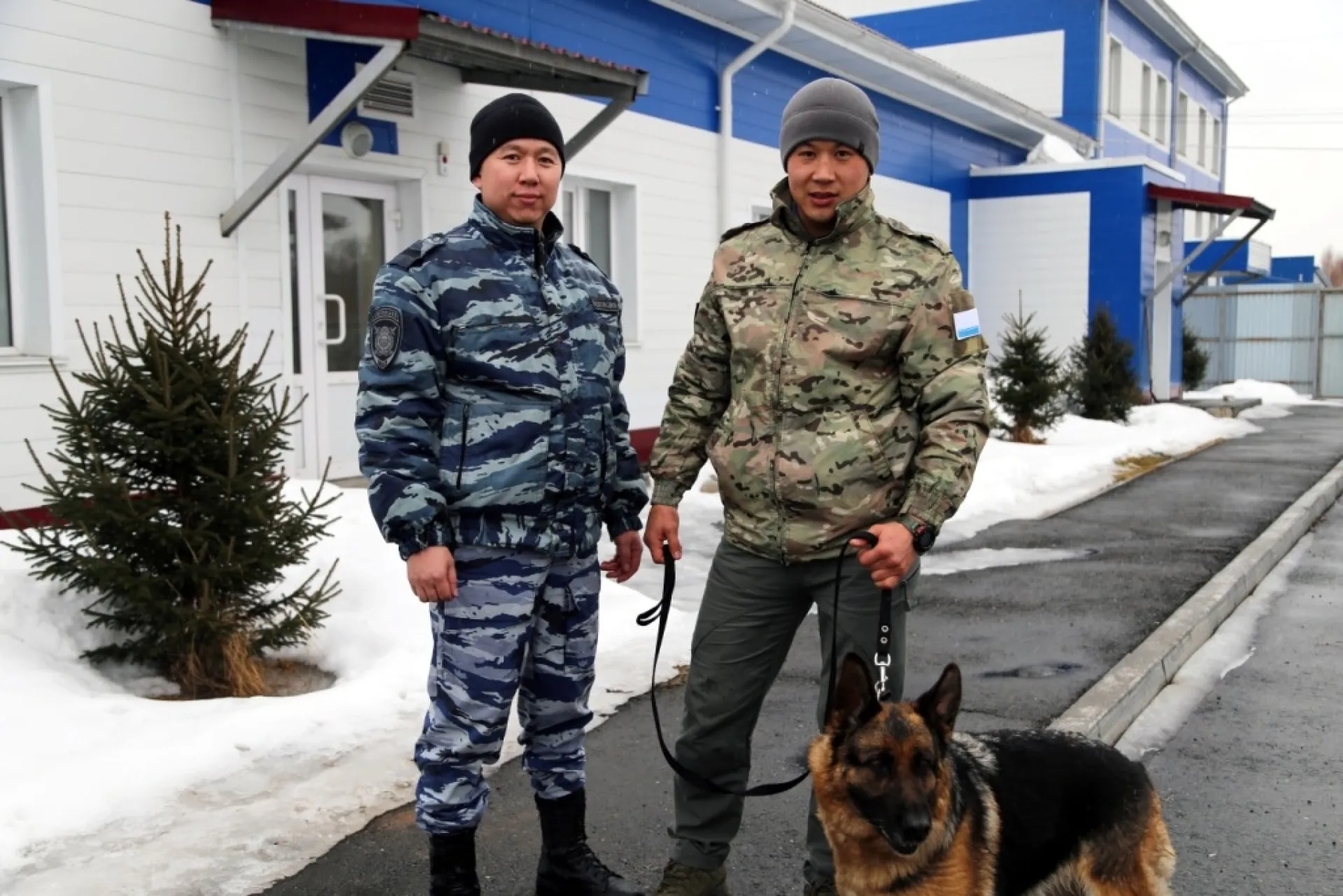 Ушедшая на пенсию полицейская собака обрела нового хозяина на Алтае