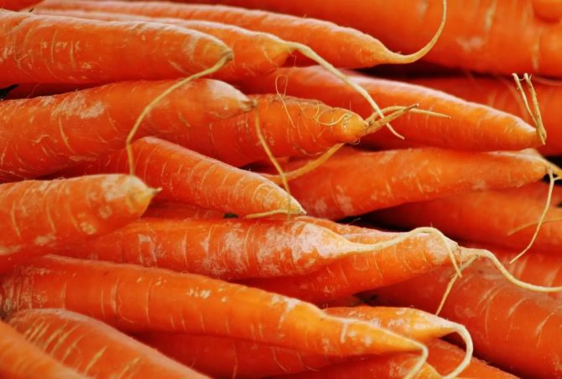 Более 80 тонн опасных продуктов пытались провезти в Алтайский край