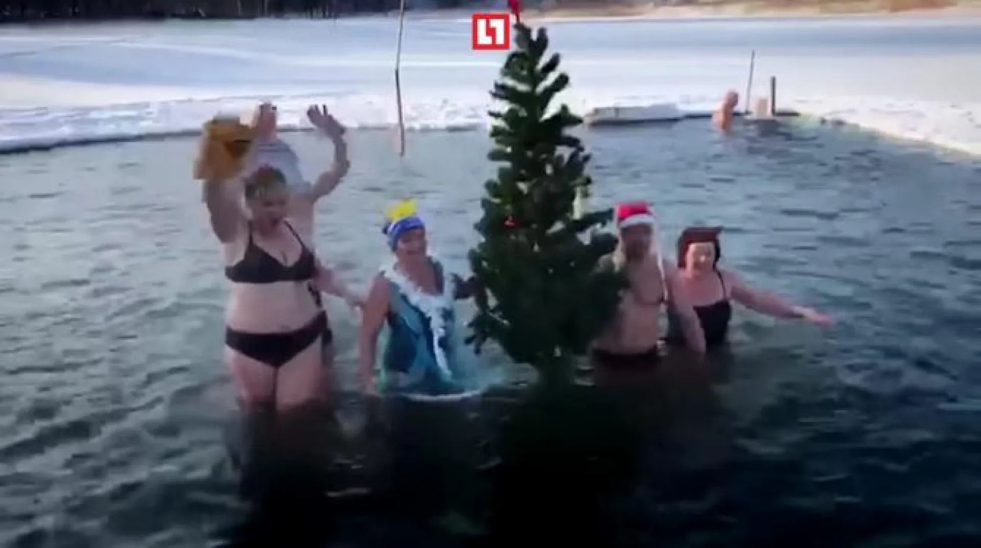 Алтайские моржи устроили праздничный заплыв 