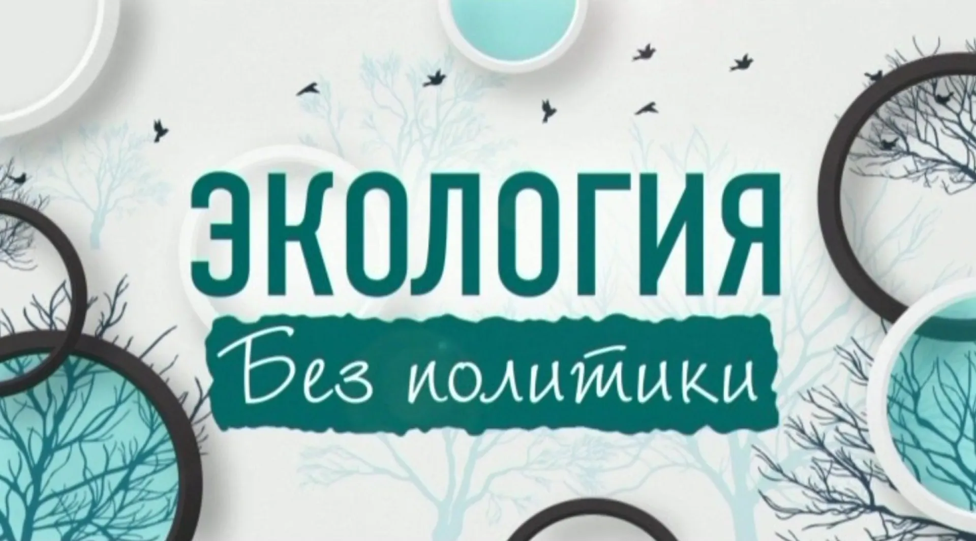 «Экология без политики»: как работает «мусорная реформа» в Алтайском крае