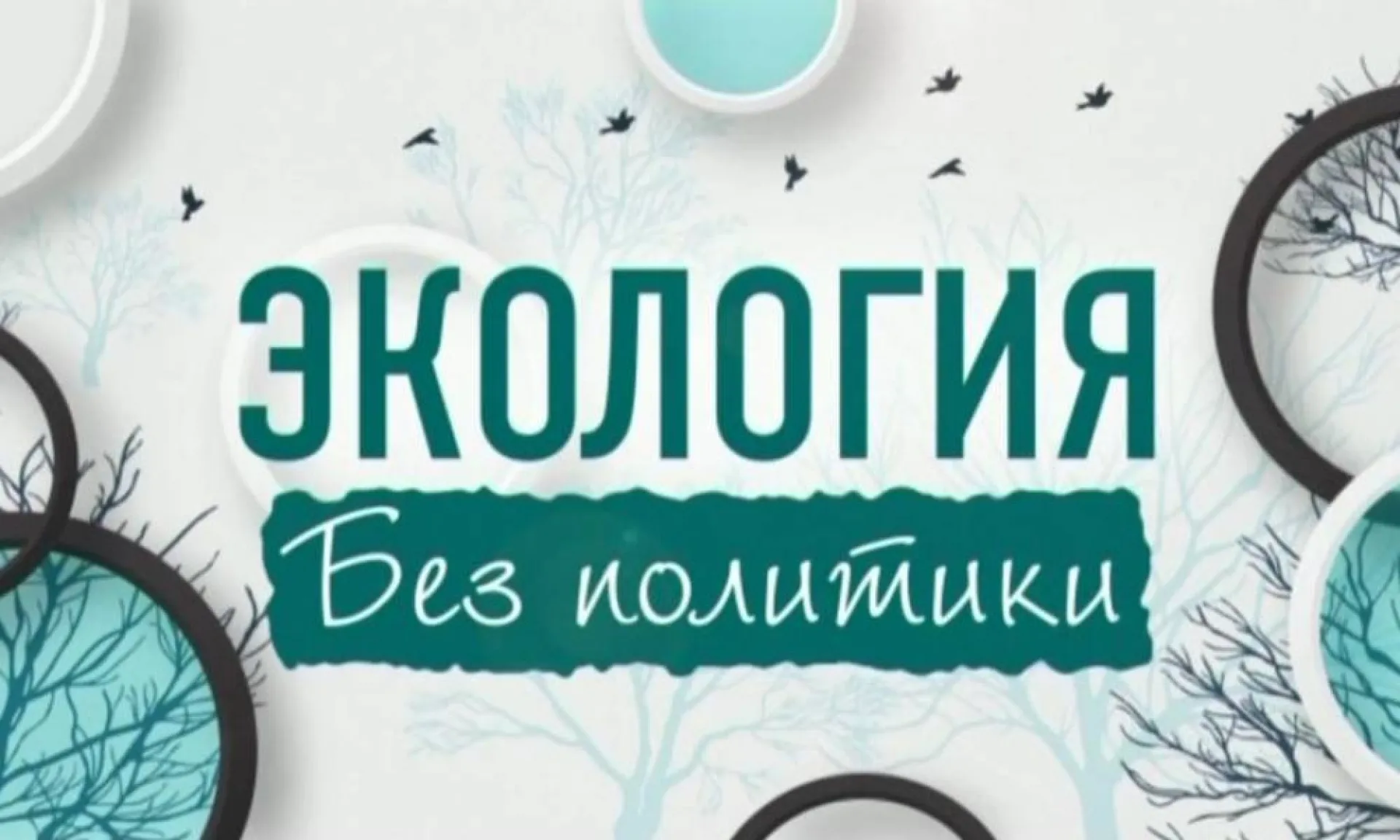 «Экология без политики»: проблемы рыболовства в бассейне Оби