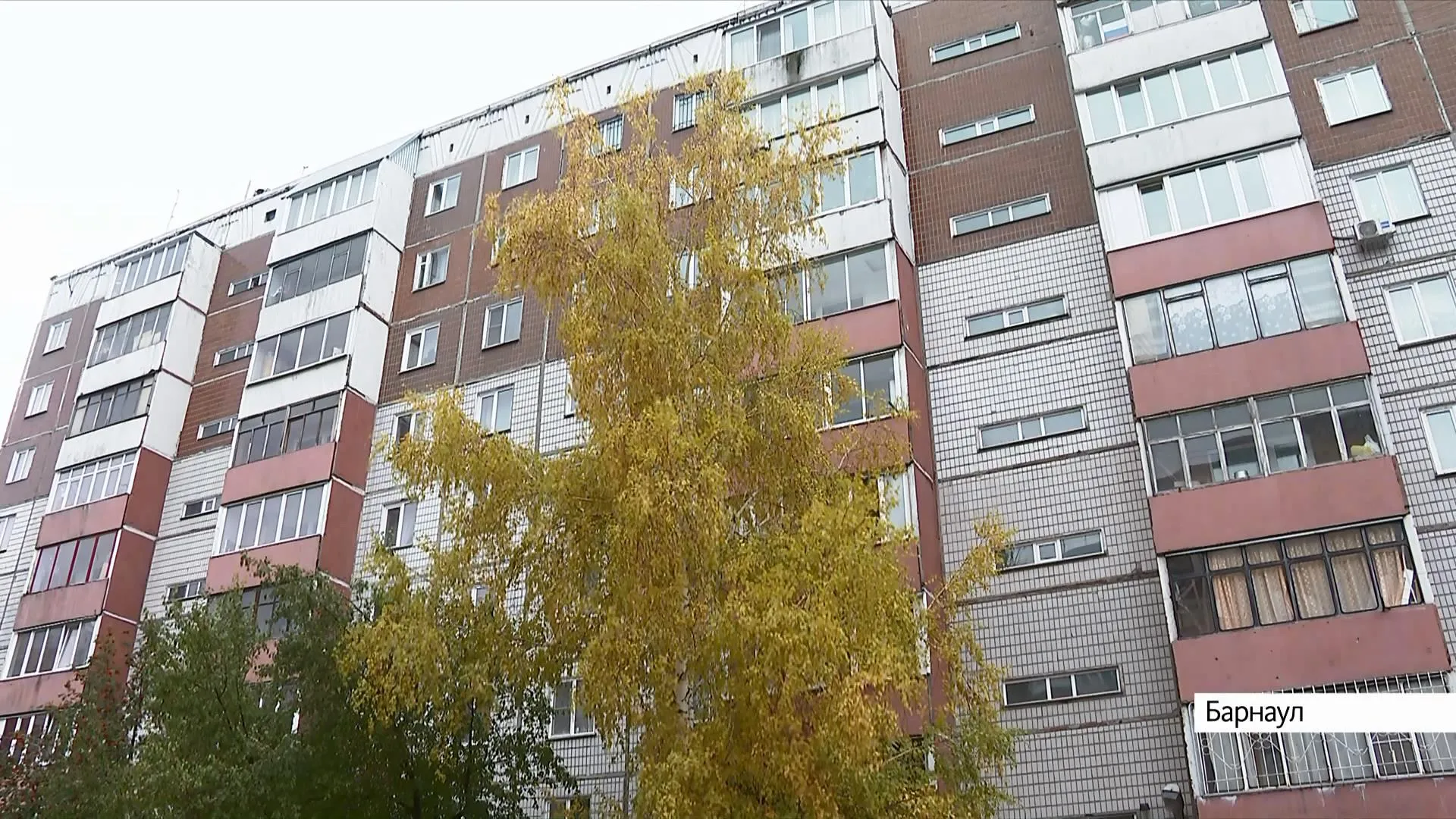 Попасть домой практически невозможно: жители барнаульской многоэтажки жалуются на грязь во дворе дома