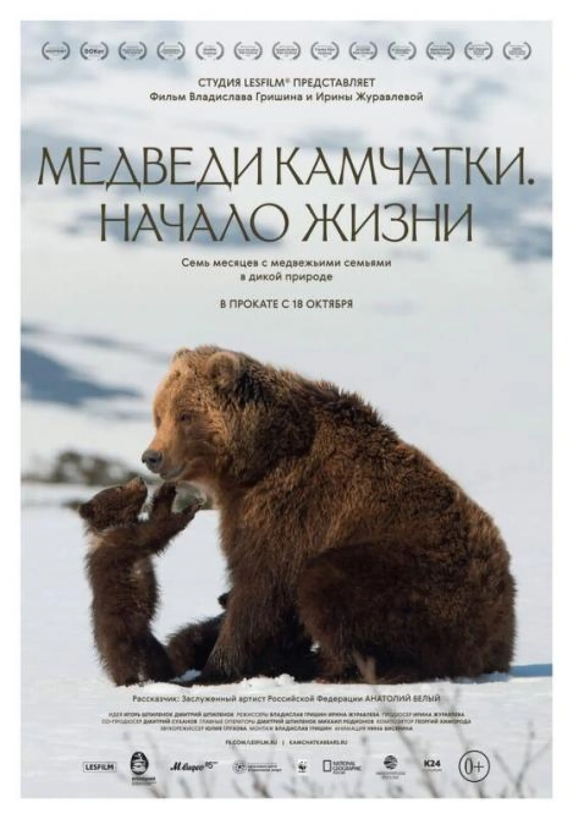Документальный фильм «Медведи Камчатки. Начало жизни» вышел в прокат в Барнауле Документальный фильм «Медведи Камчатки. Начало жизни» вышел в прокат в Барнауле