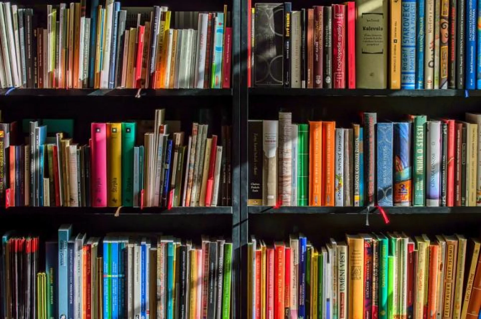 Рассказываем, какие книги стали самыми популярными у барнаульцев в 2018 году