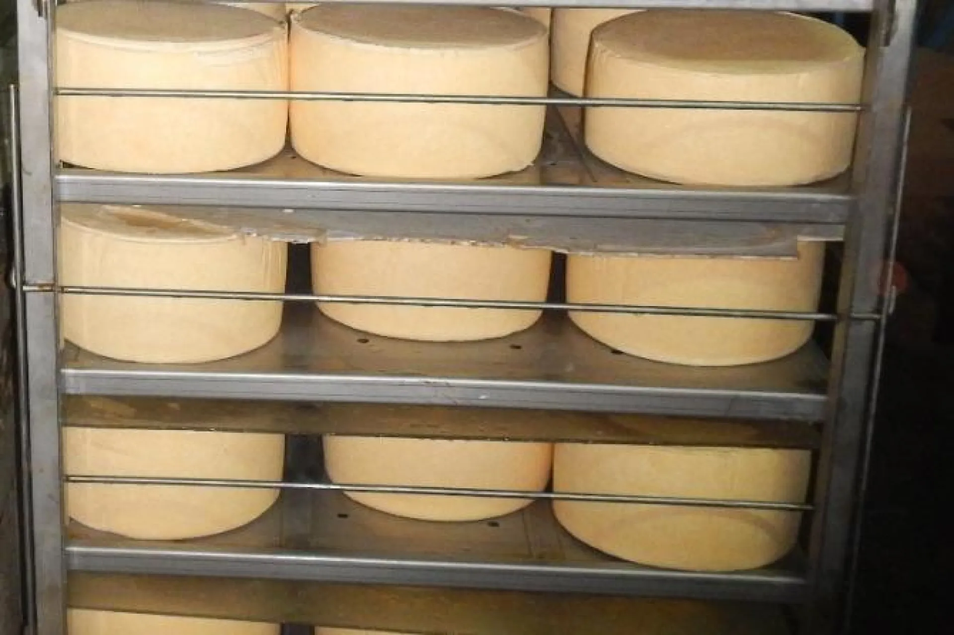 Сотрудники молочного комбината украли около трёхсот килограммов сырного продукта в Алтайском крае