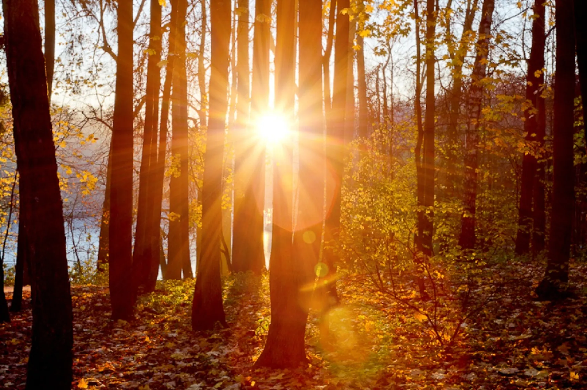 Поднесеньев день: традиции и приметы на 22 сентября Поднесеньев день: традиции и приметы на 22 сентября