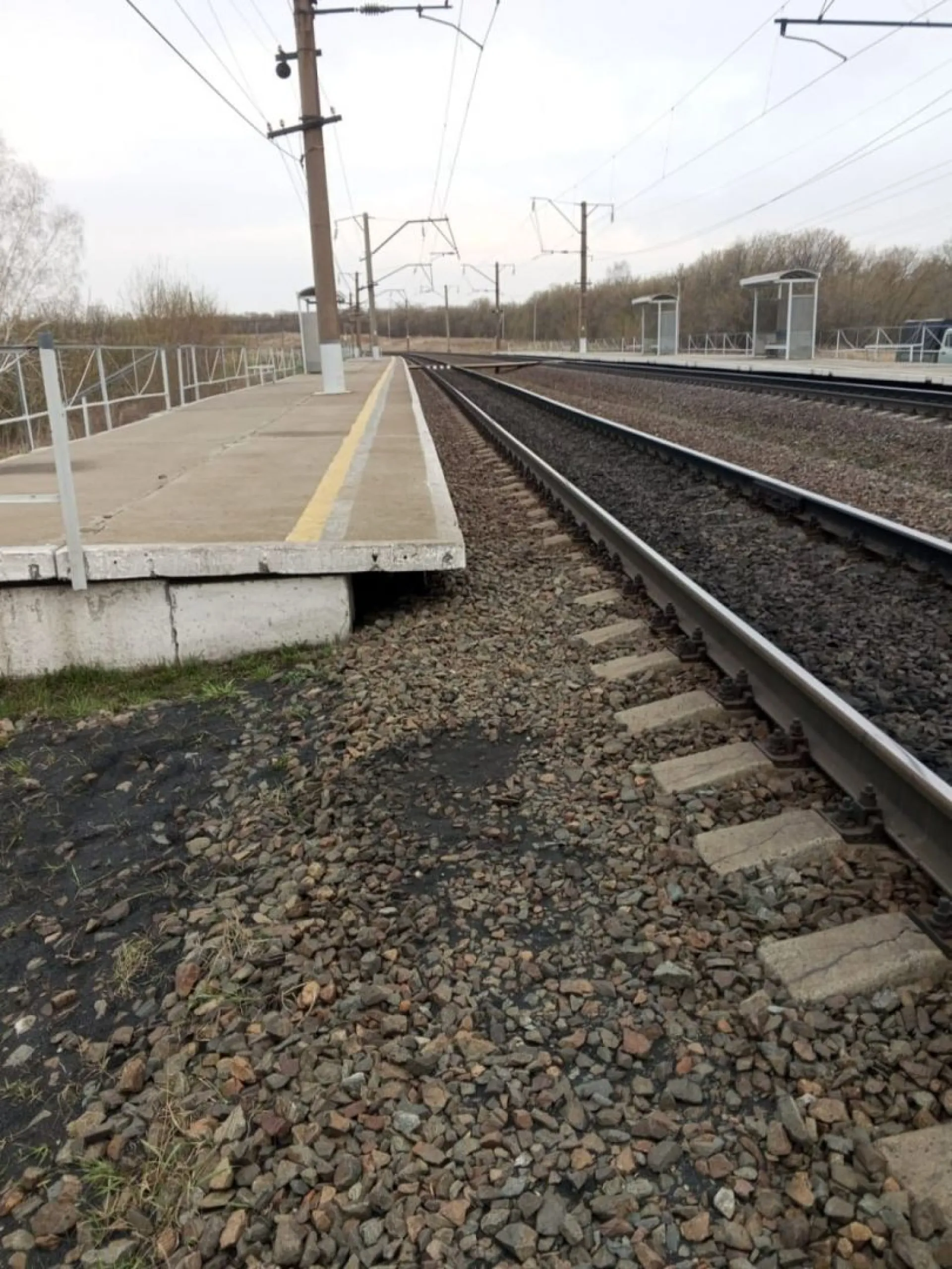 74-летняя женщина попала под поезд в Алтайском крае