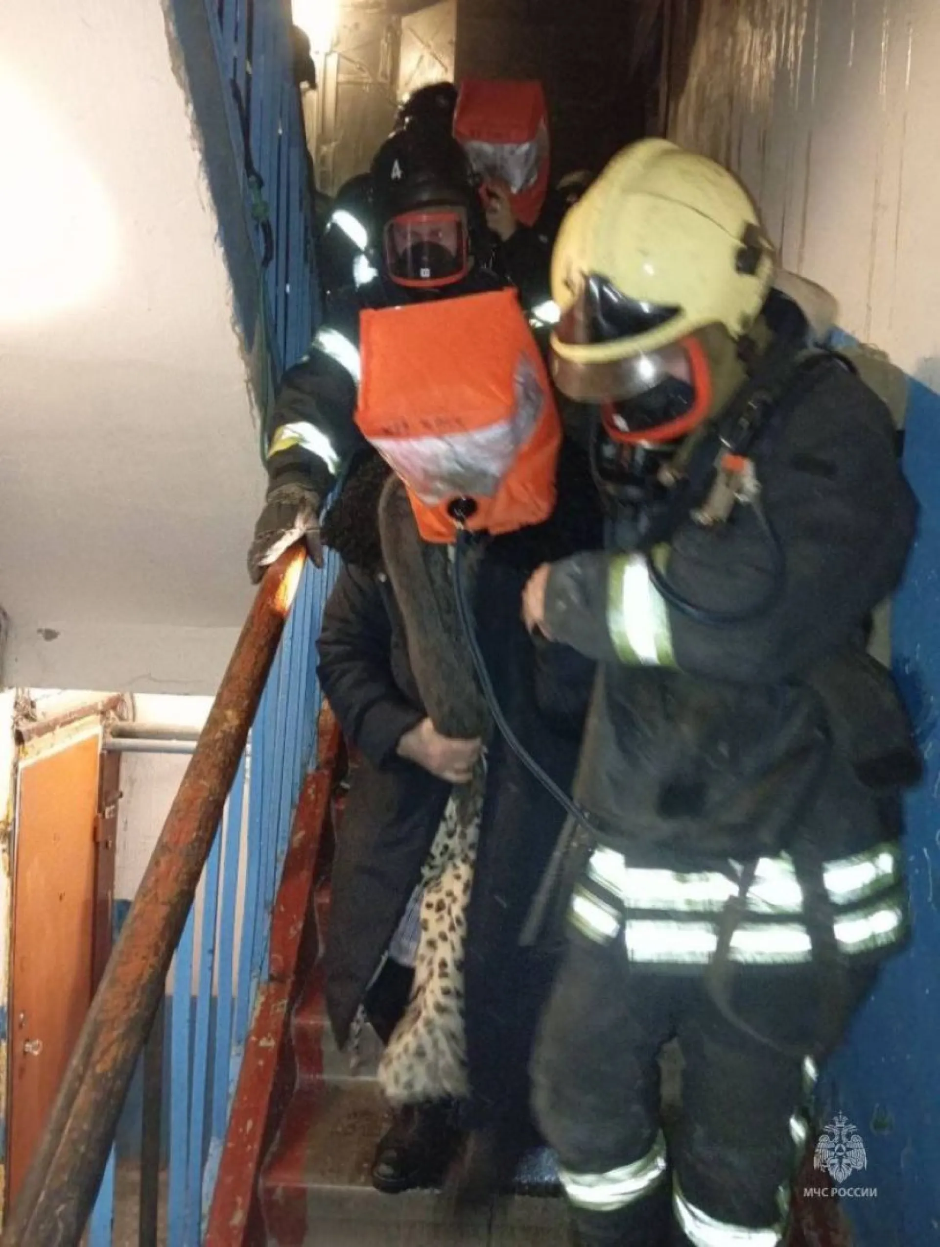 Более полусотни жильцов спасли из горящего дома в Барнауле Более полусотни жильцов спасли из горящего дома в Барнауле