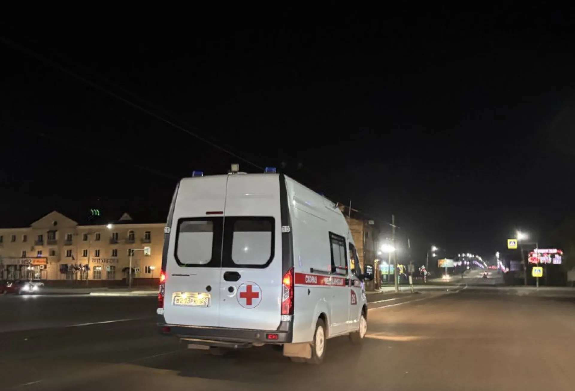 Лось спровоцировал ДТП в пригороде Бийска 