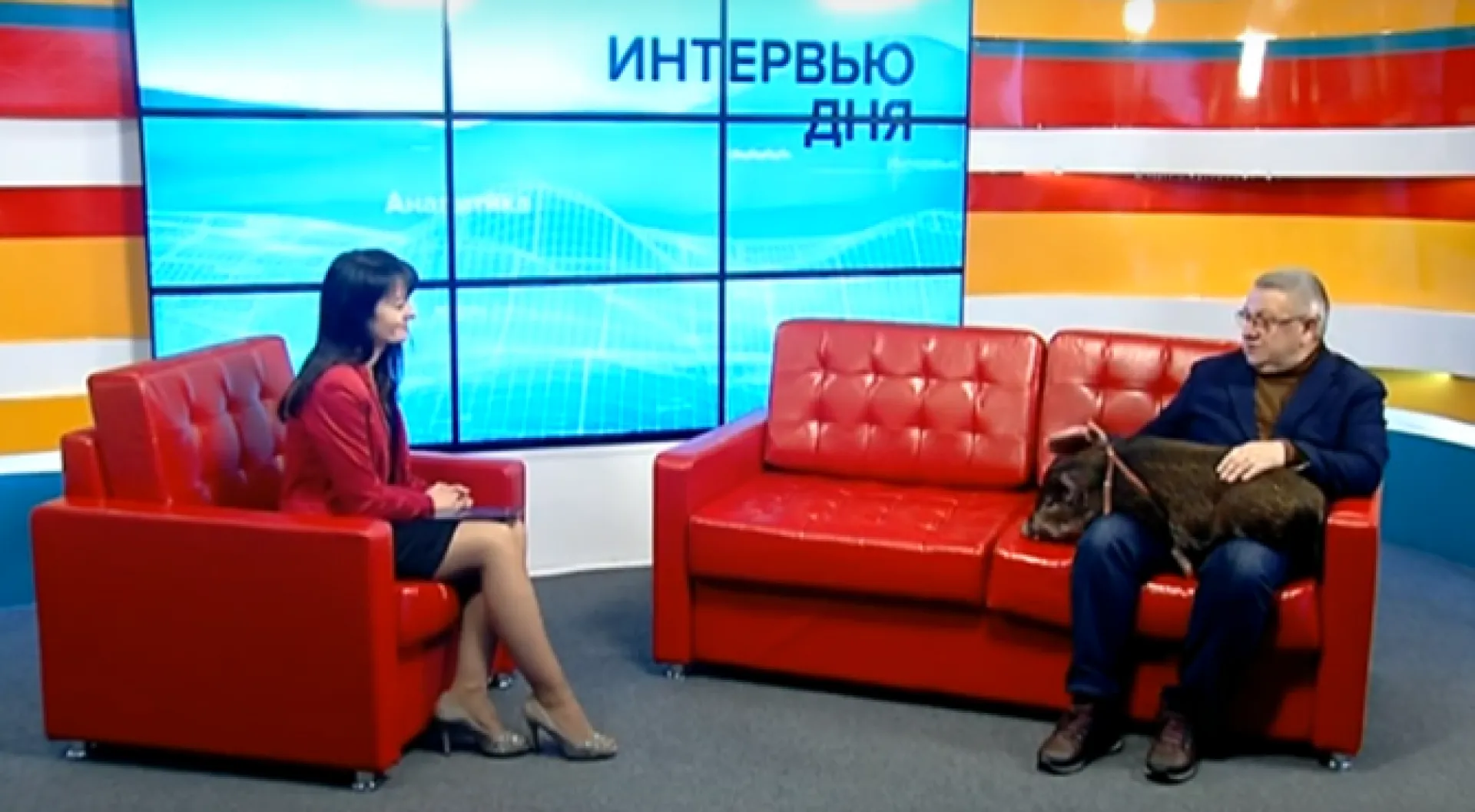 Сергей Писарев: какие характеристики присущи символу 2019 года