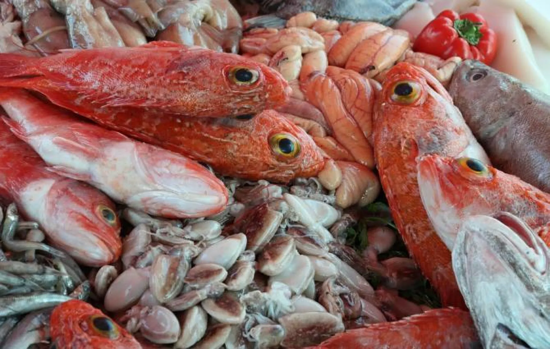 Роспотребнадзор изъял 100 кг некачественной рыбы и морепродуктов в Алтайском крае