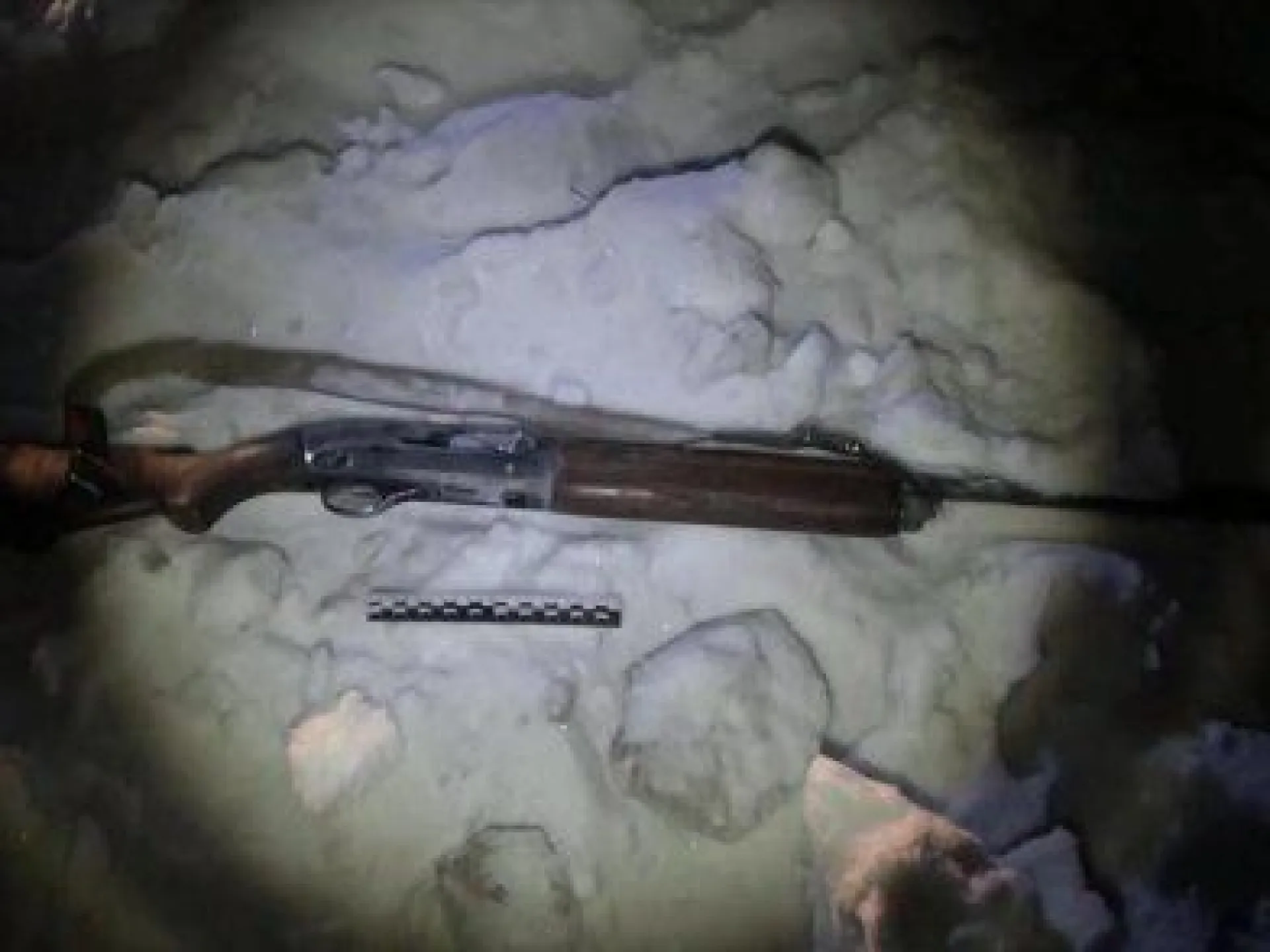 Браконьера, убившего 2 косуль, задержали на посту ДПС