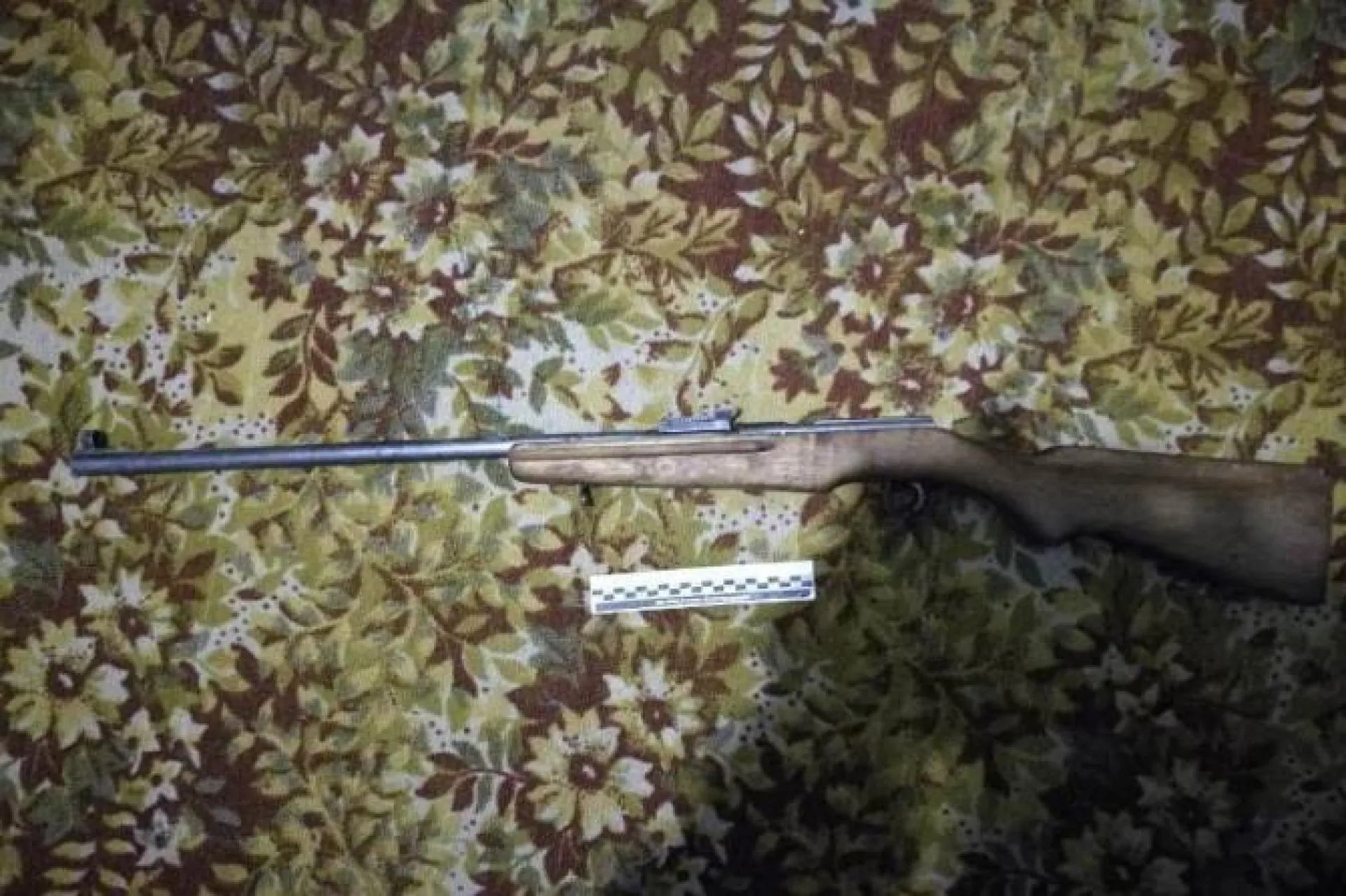 Полицейские изъяли незаконное оружие в Алтайском крае
