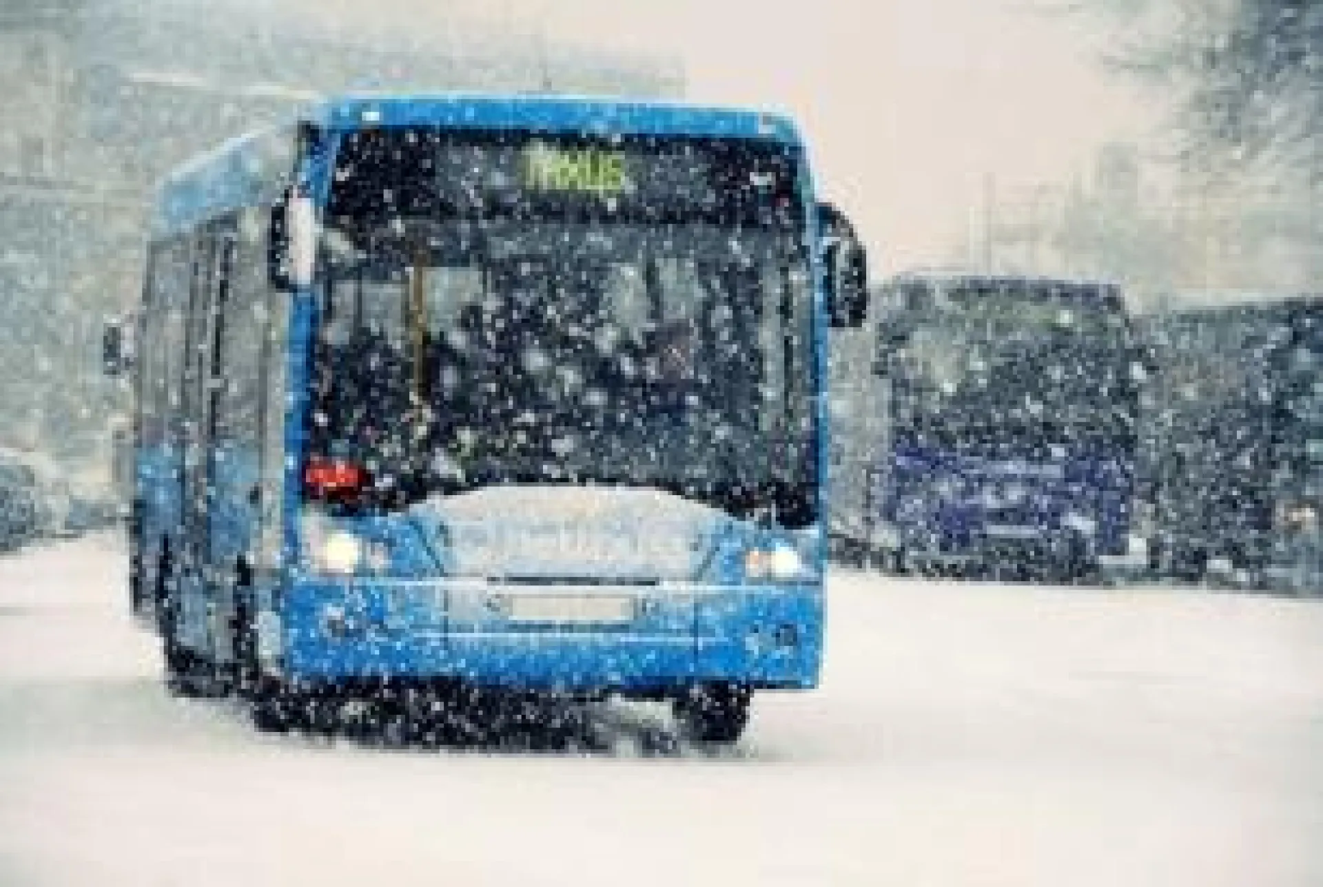 Обязательное лицензирование автобусных перевозок введут с 1 марта в России
