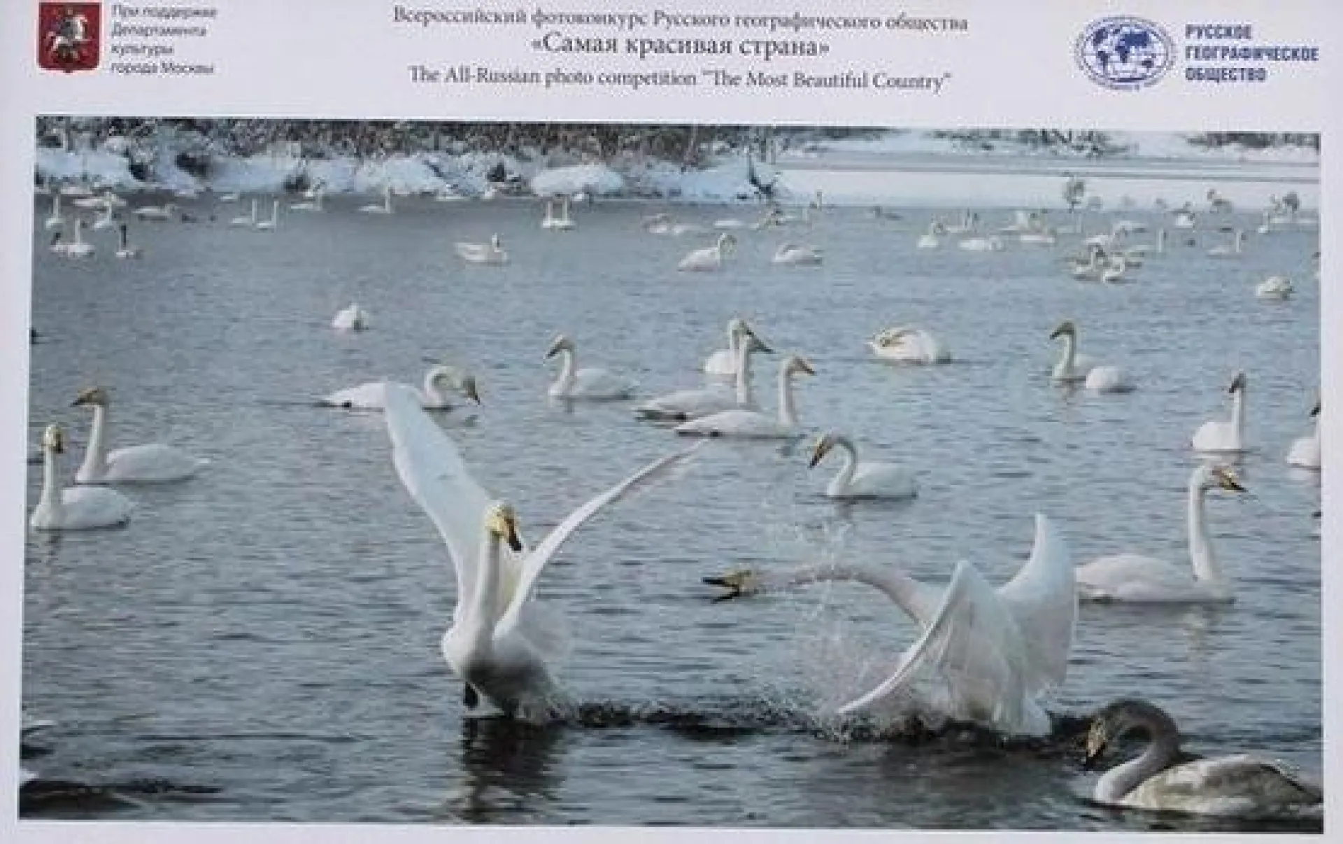 Заявки на фотоконкурс «Самая красивая страна» с крупными денежными призами принимают в Алтайском крае