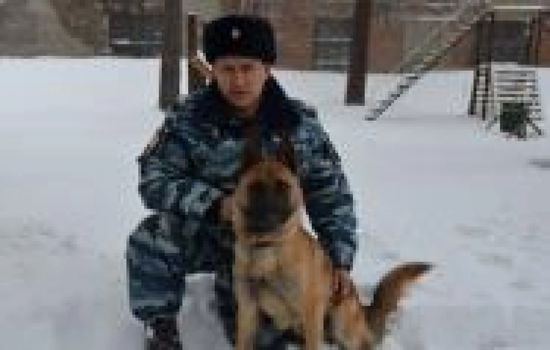 Служебный пёс помог за час раскрыть кражу со взломом в Бийске Служебный пёс помог за час раскрыть кражу со взломом в Бийске