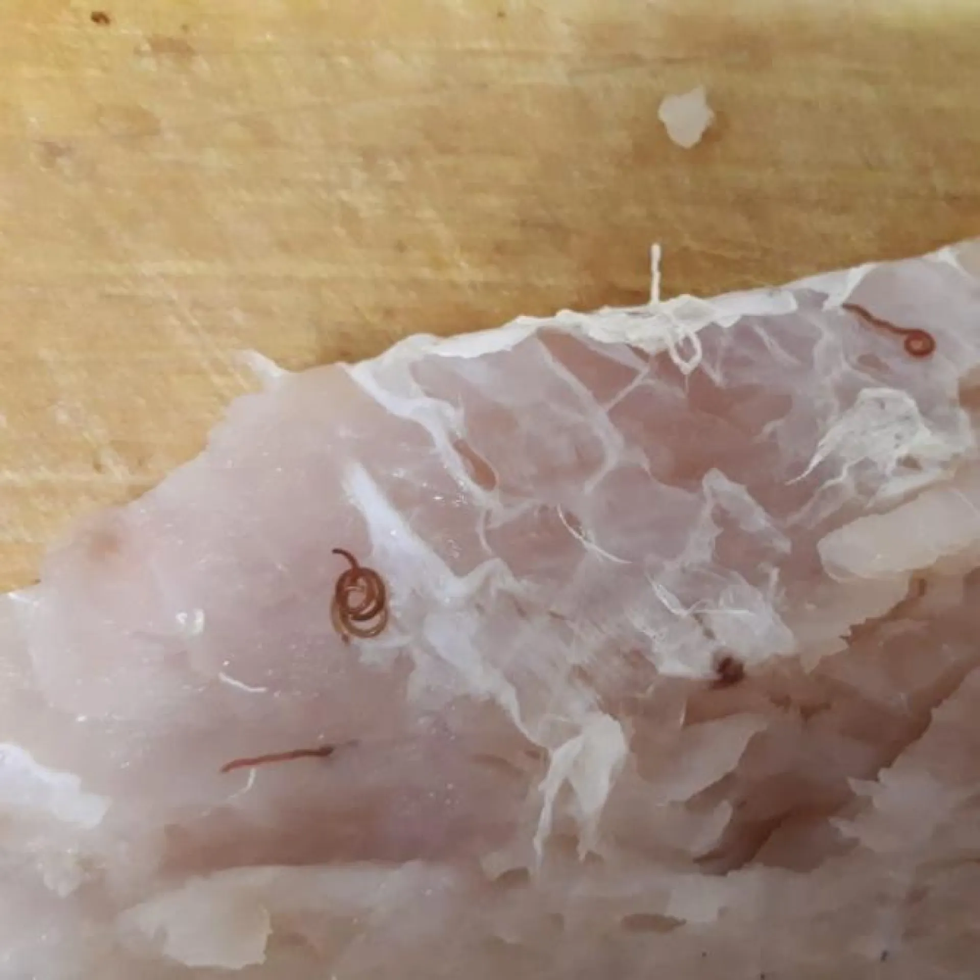 Жители Алтайского края купили в магазине заражённую рыбу