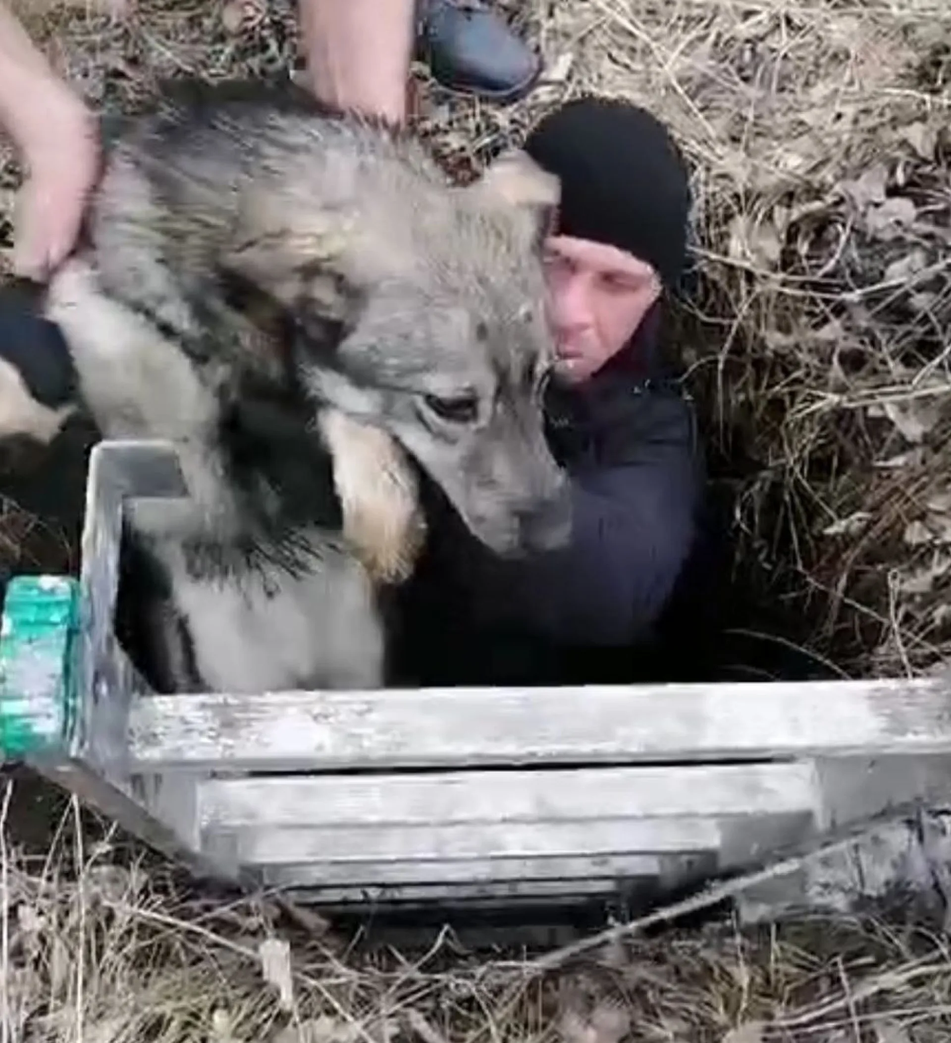 Добрая история из Камня-на-Оби: местный житель спас собаку, упавшую в колодец