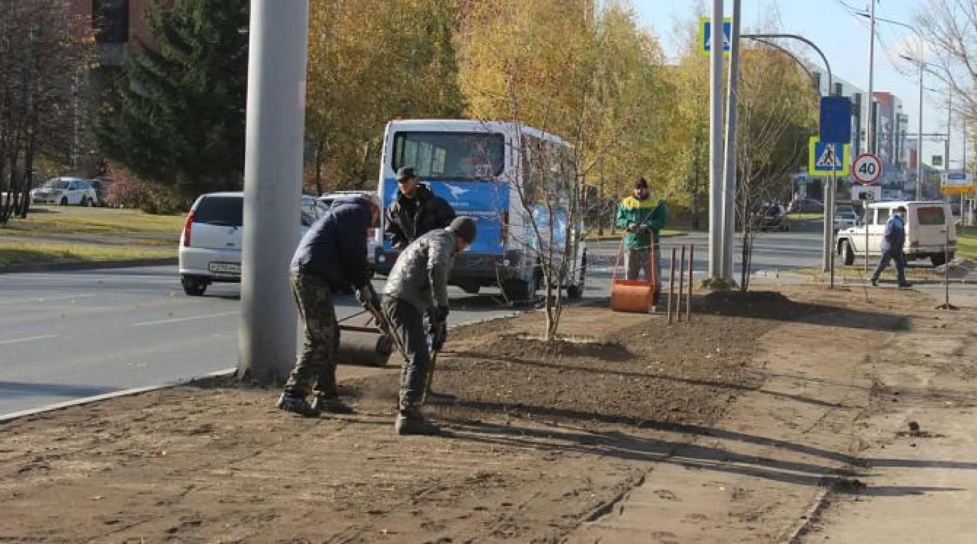 Более 10 тысяч квадратных метров газонов реконструируют в Барнауле Более 10 тысяч квадратных метров газонов реконструируют в Барнауле