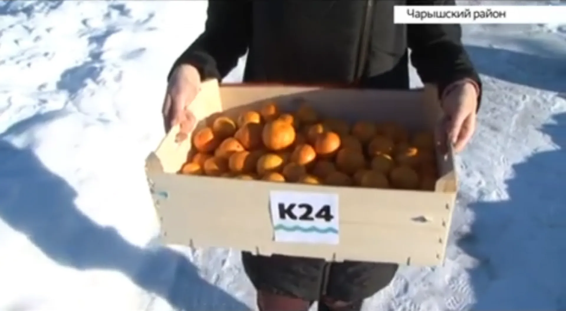 Корреспонденты телеканала «Катунь 24» подарили ящик мандаринов Семёну Кинжакову