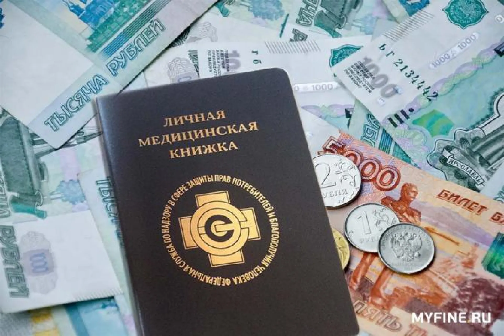 Барнаульцу грозит крупный штраф или срок за использование поддельной медкнижки при устройстве на работу Барнаульцу грозит крупный штраф или срок за использование поддельной медкнижки при устройстве на работу